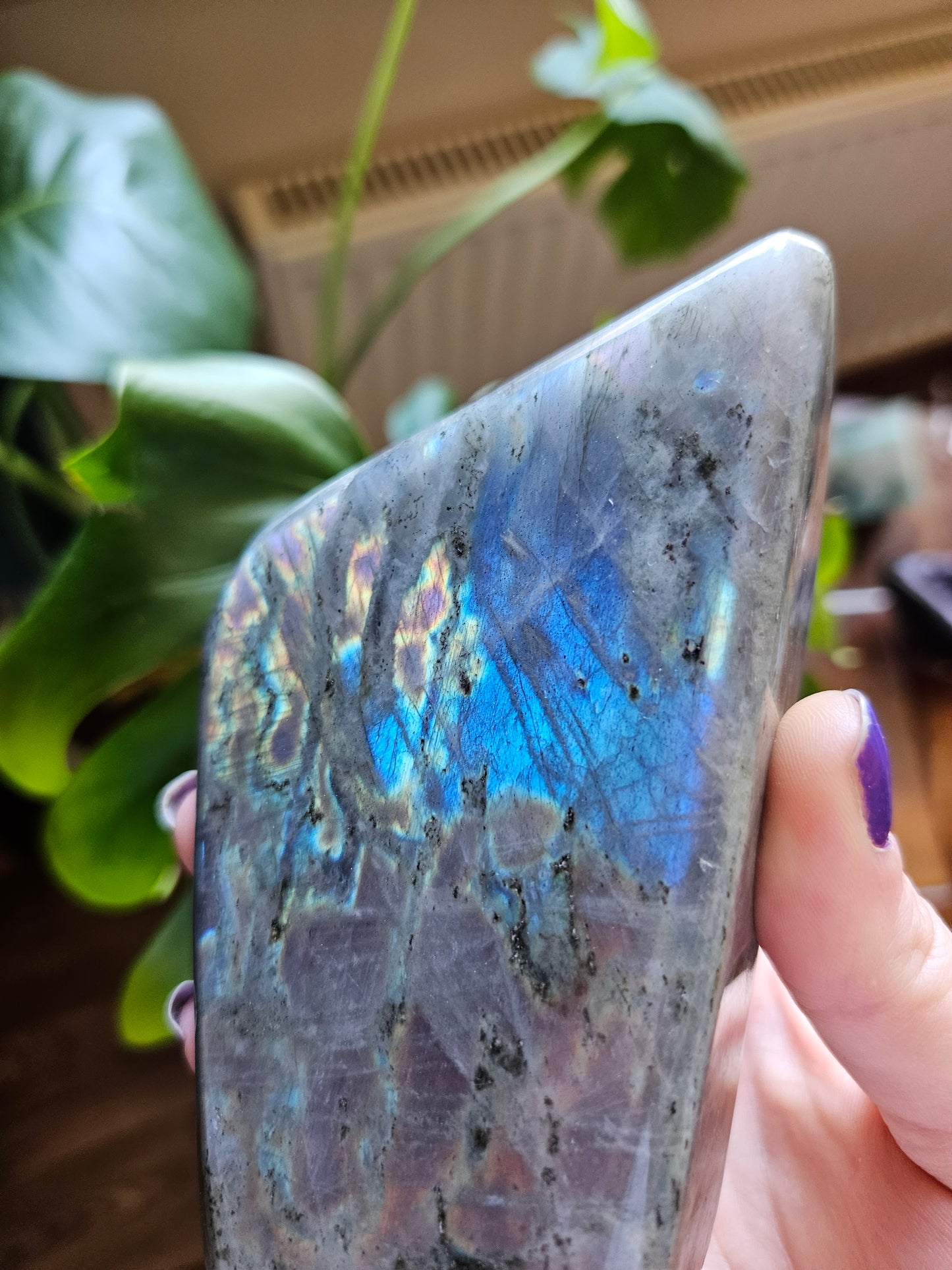Large Purple Labradorite freeform