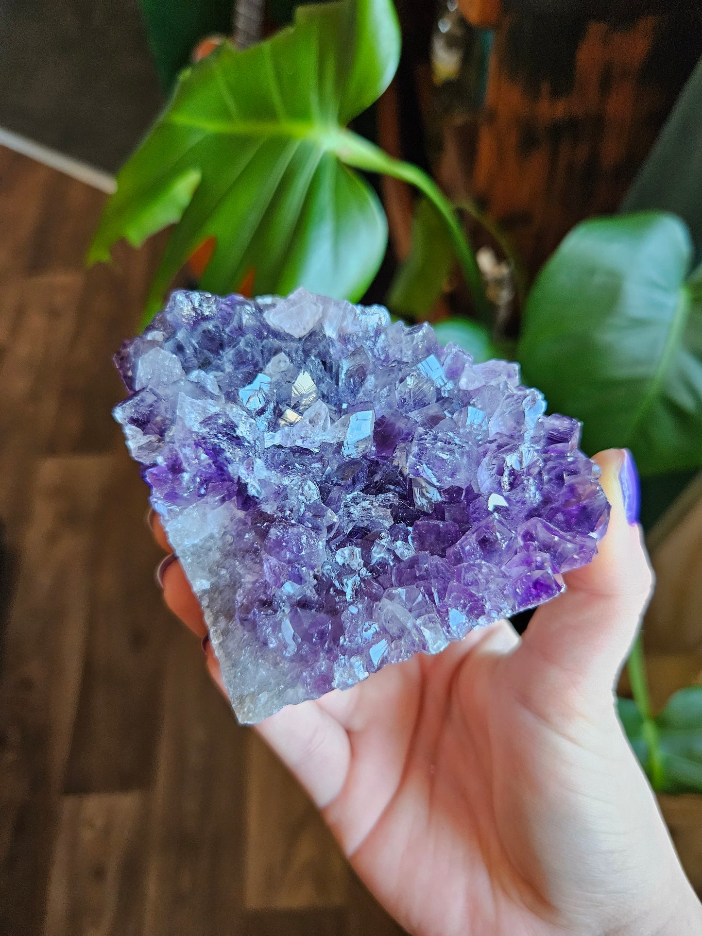Juicy Amethyst geode