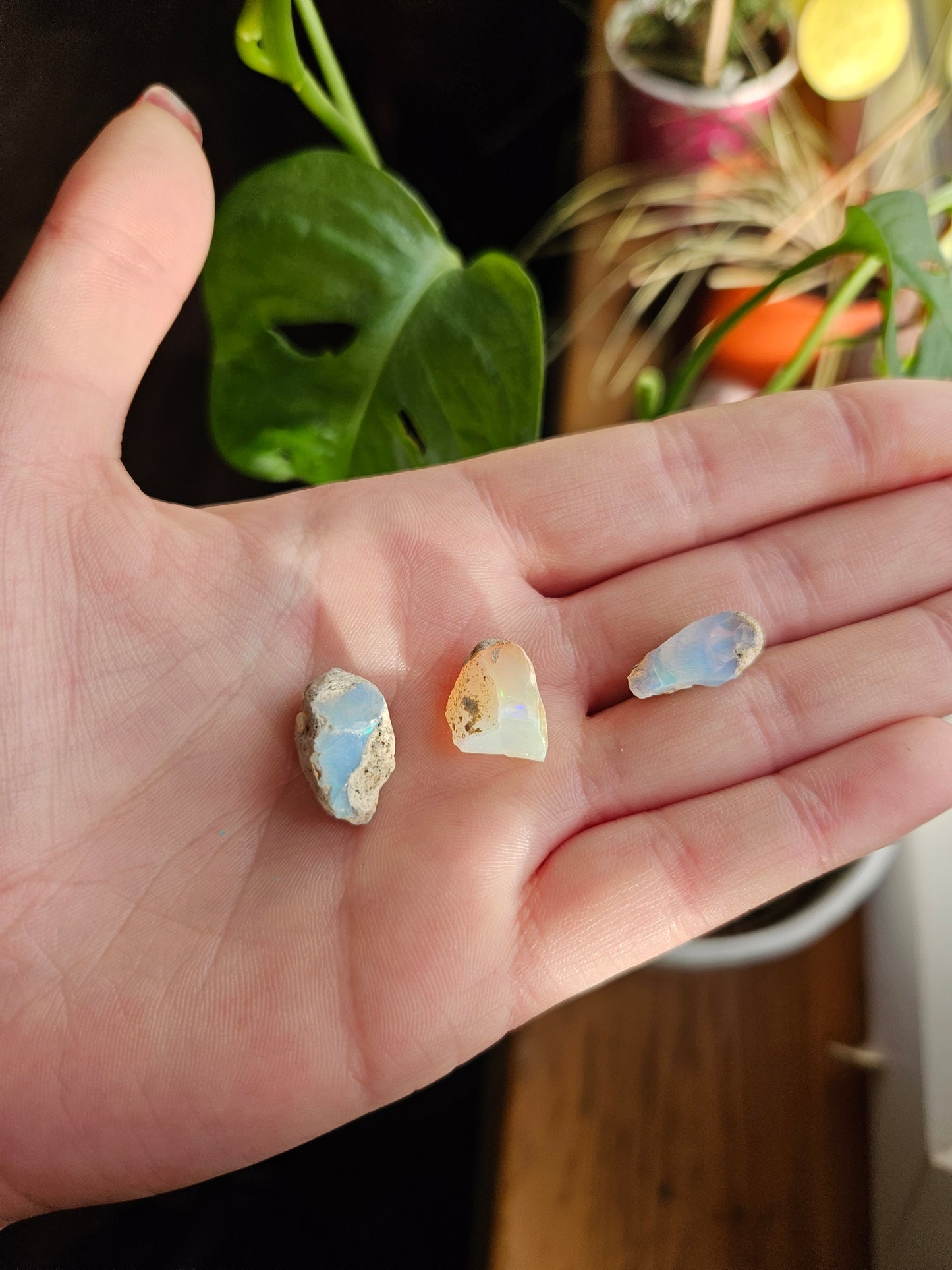 Ethiopian Opal in display case - B