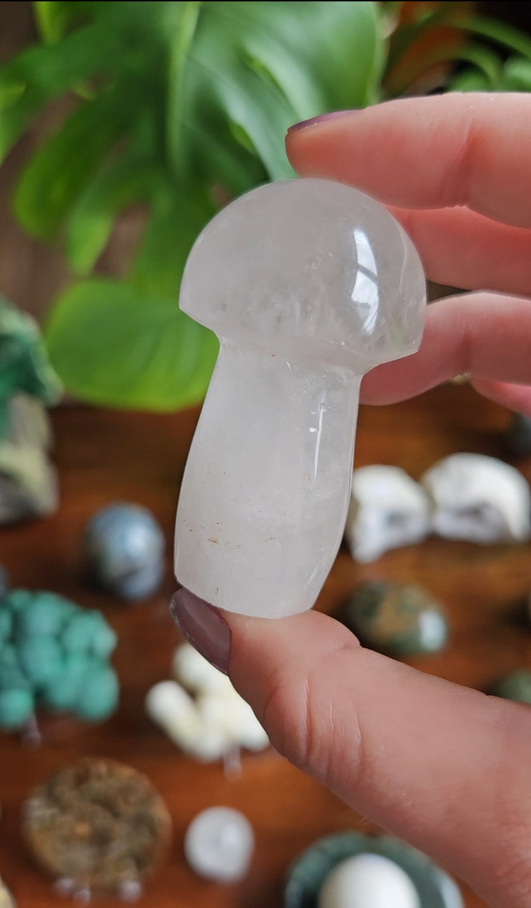 Clear Quartz mushroom