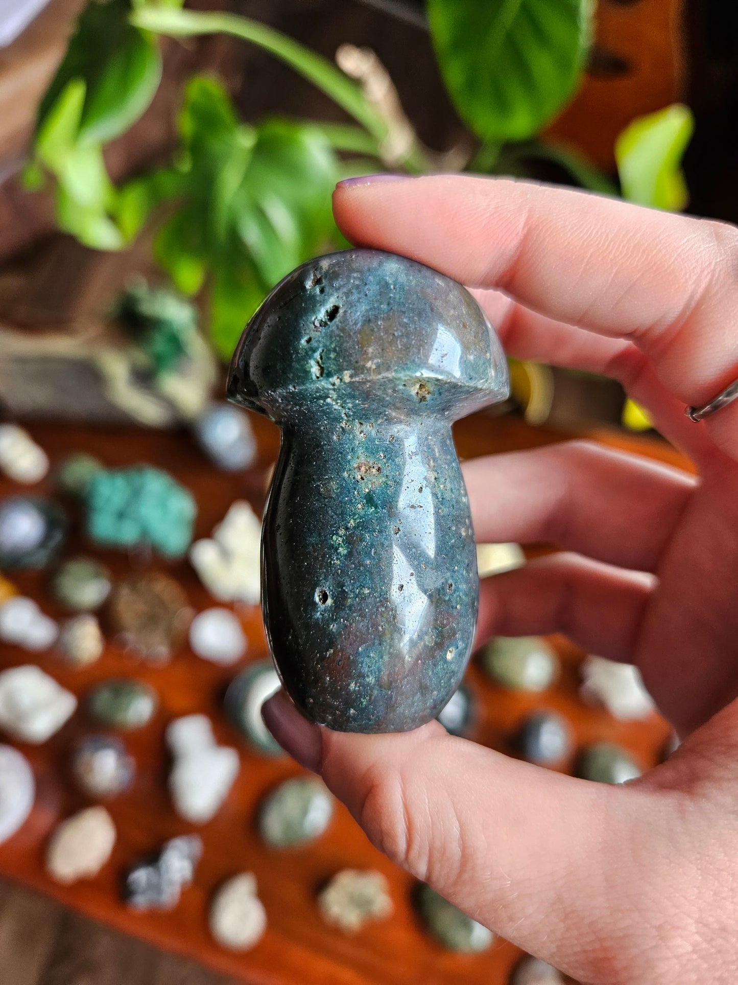 Ocean Jasper mushroom - 110g