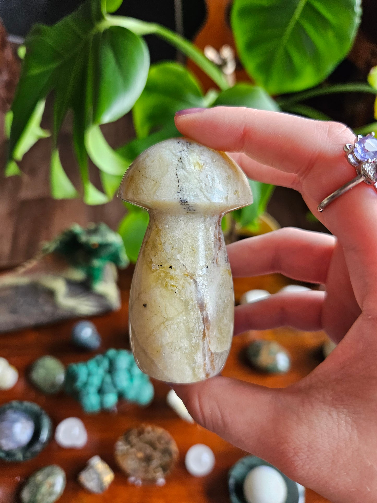 Green Opal mushroom - 145g
