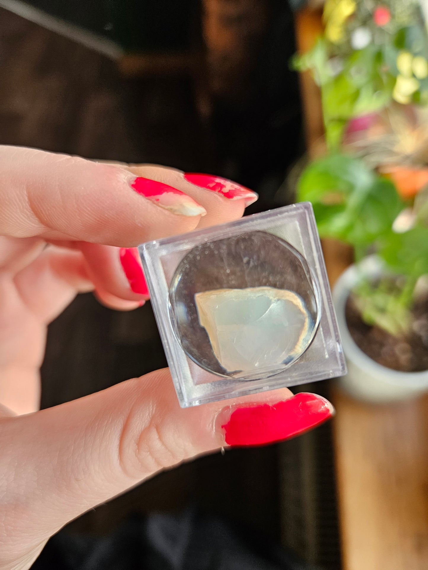 Ethiopian Opal in display case - B