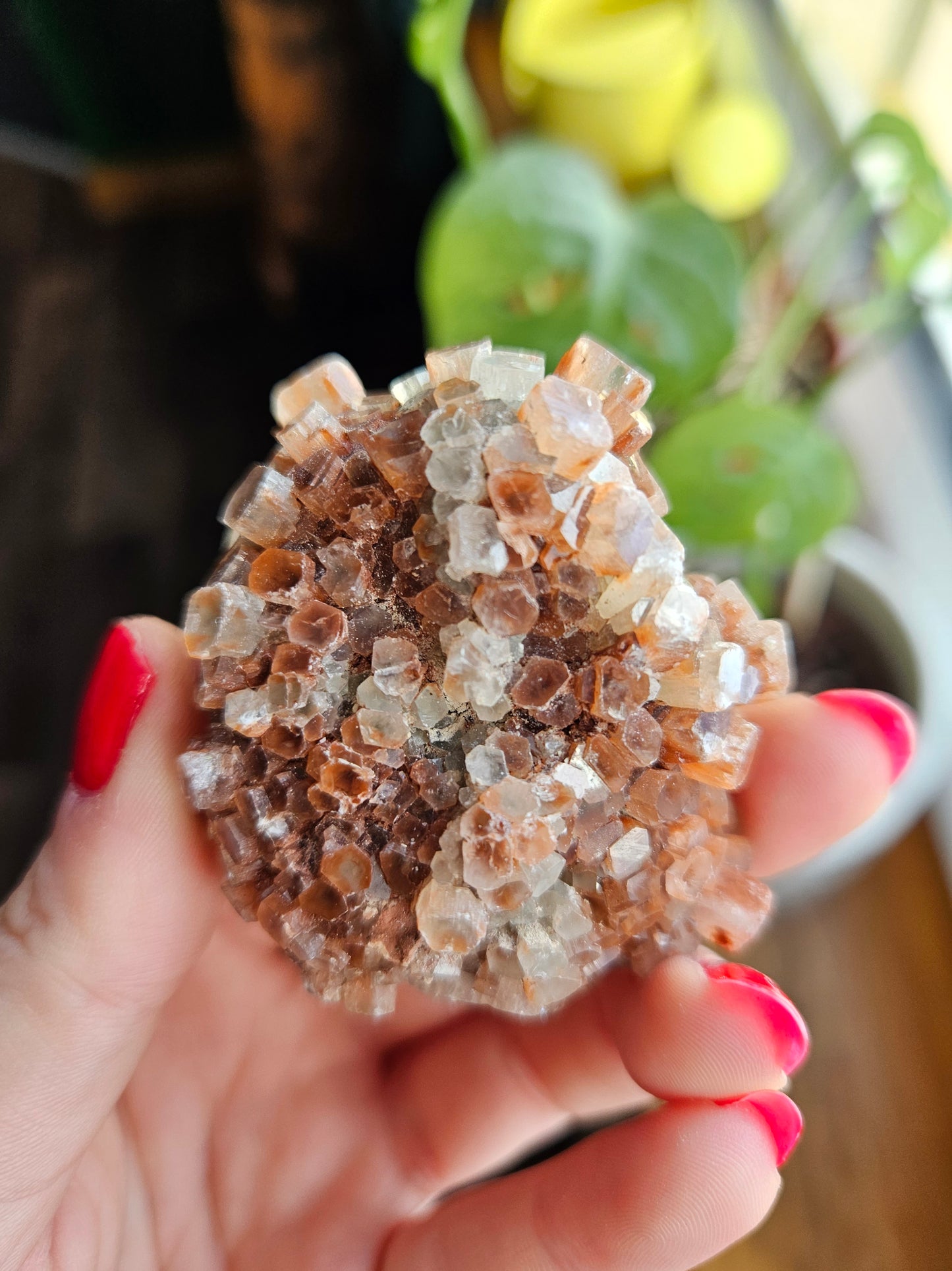 Aragonite sputnik