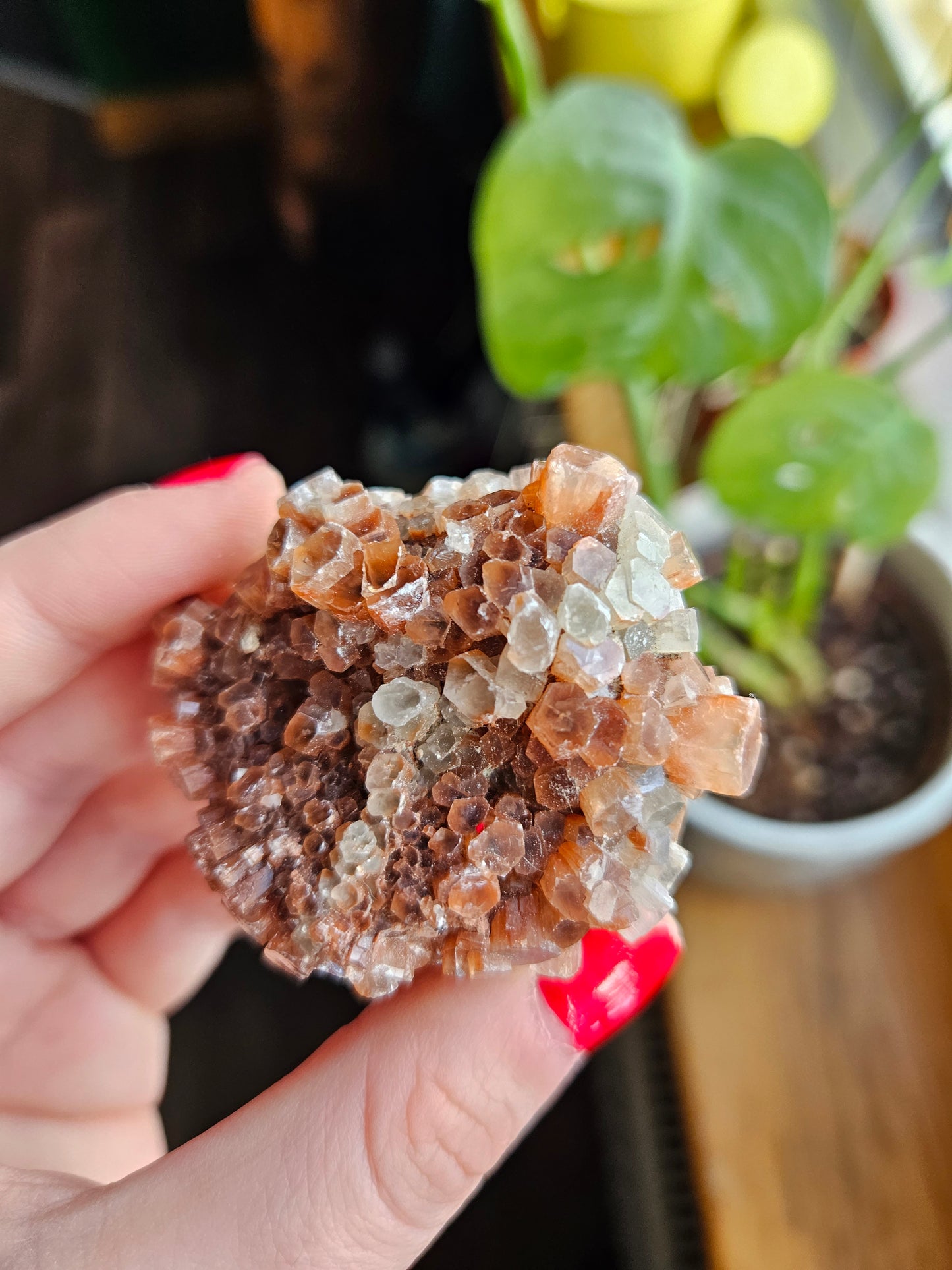 Aragonite sputnik