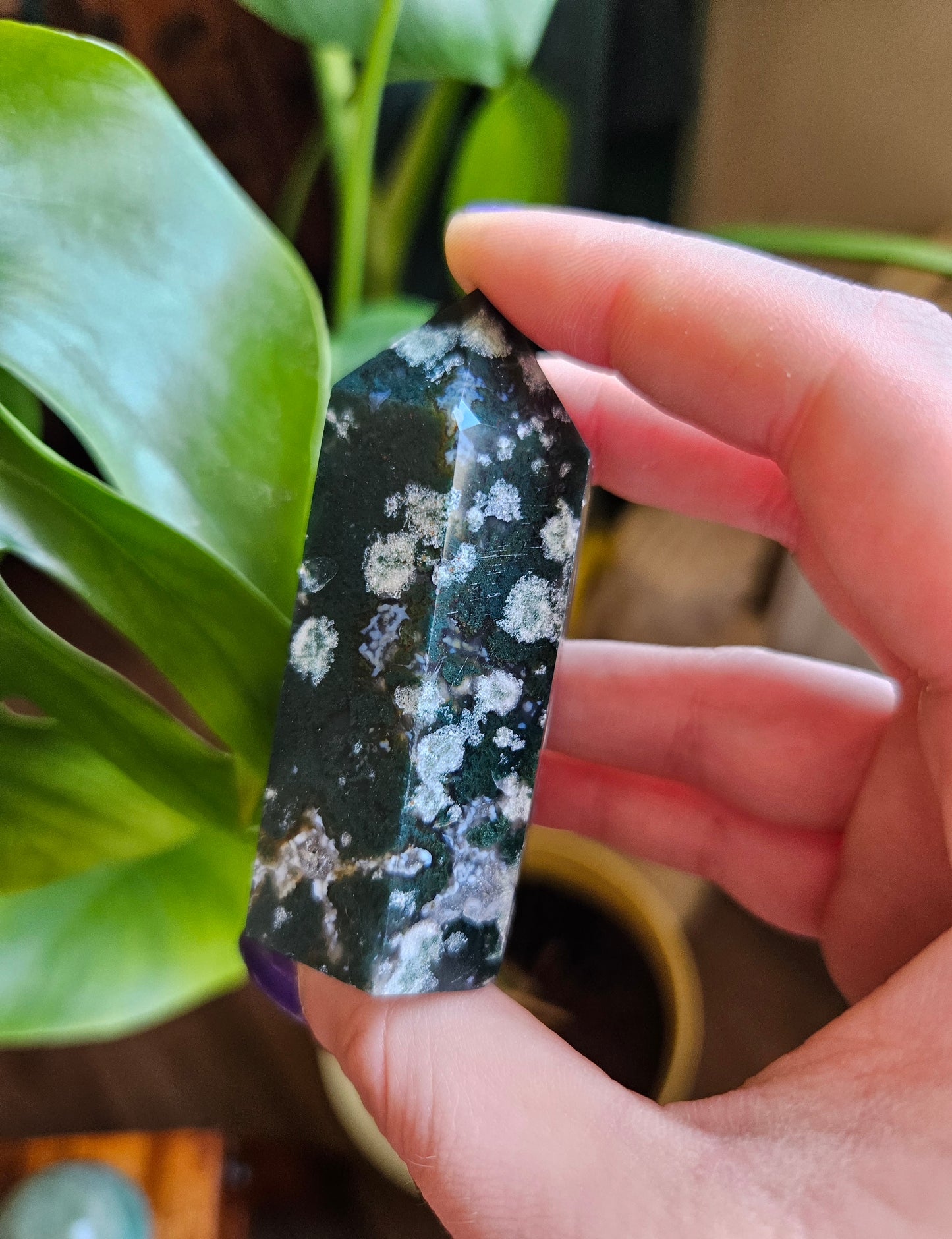 Moss Agate point
