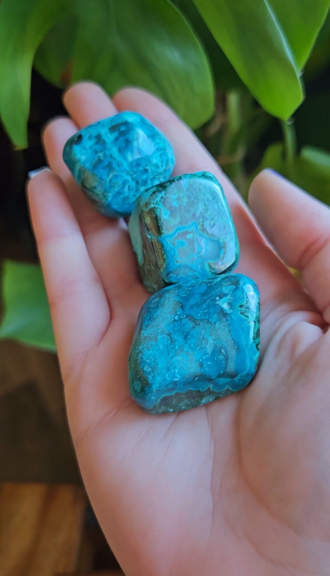 Chrysocolla Azurite tumblestones