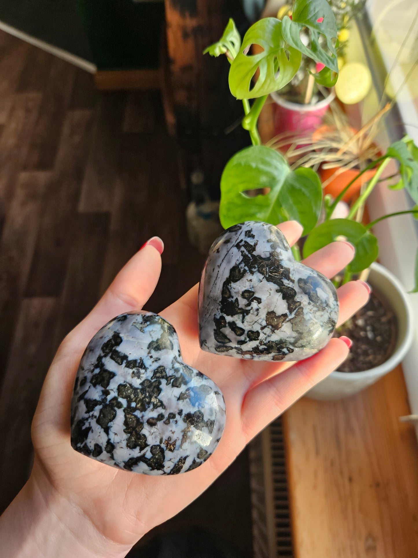 Indigo Gabbro heart