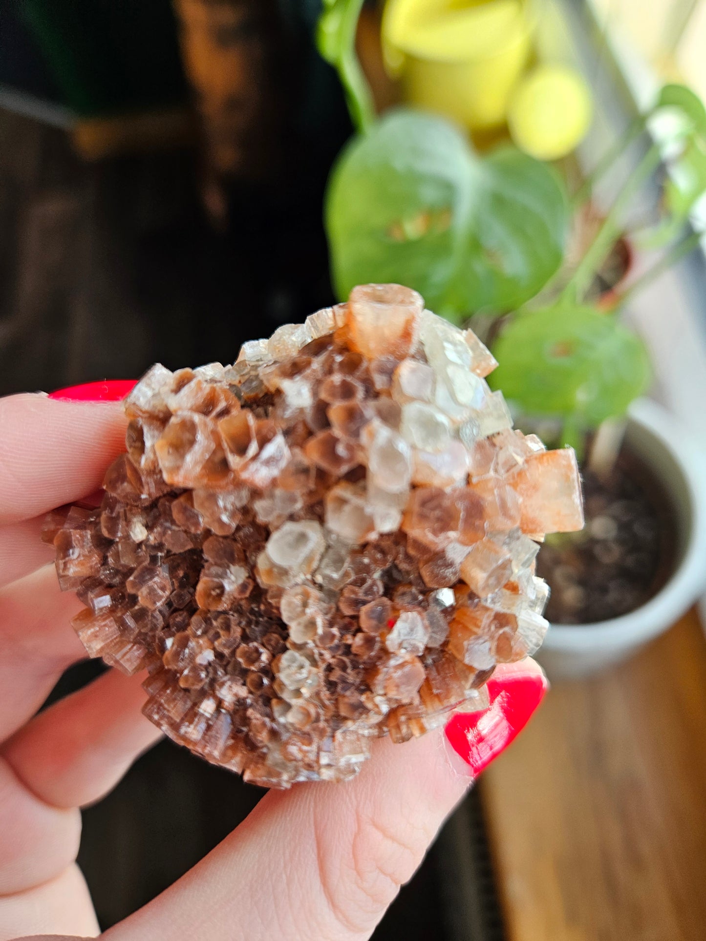 Aragonite sputnik