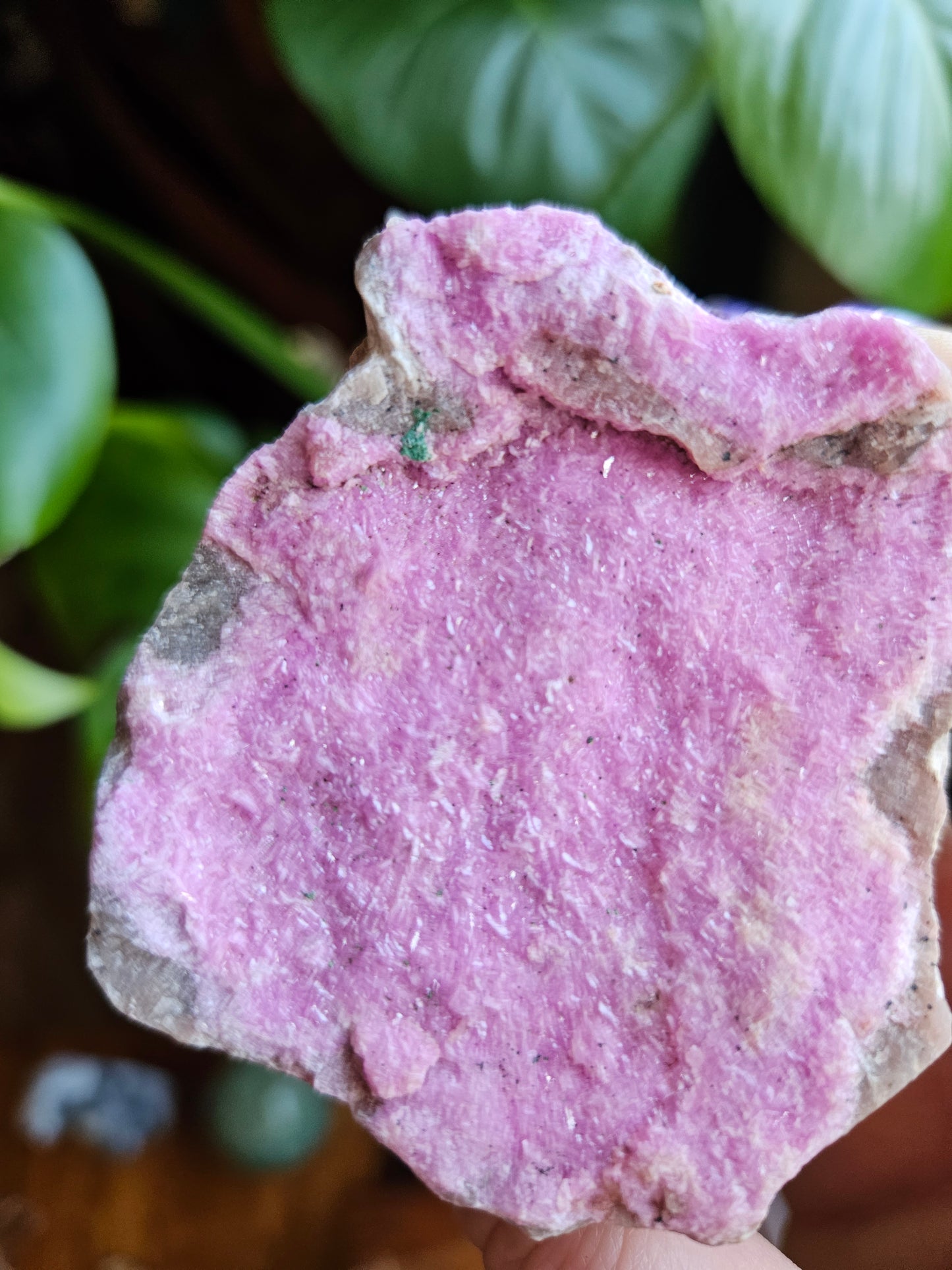 Large Cobalto Calcite