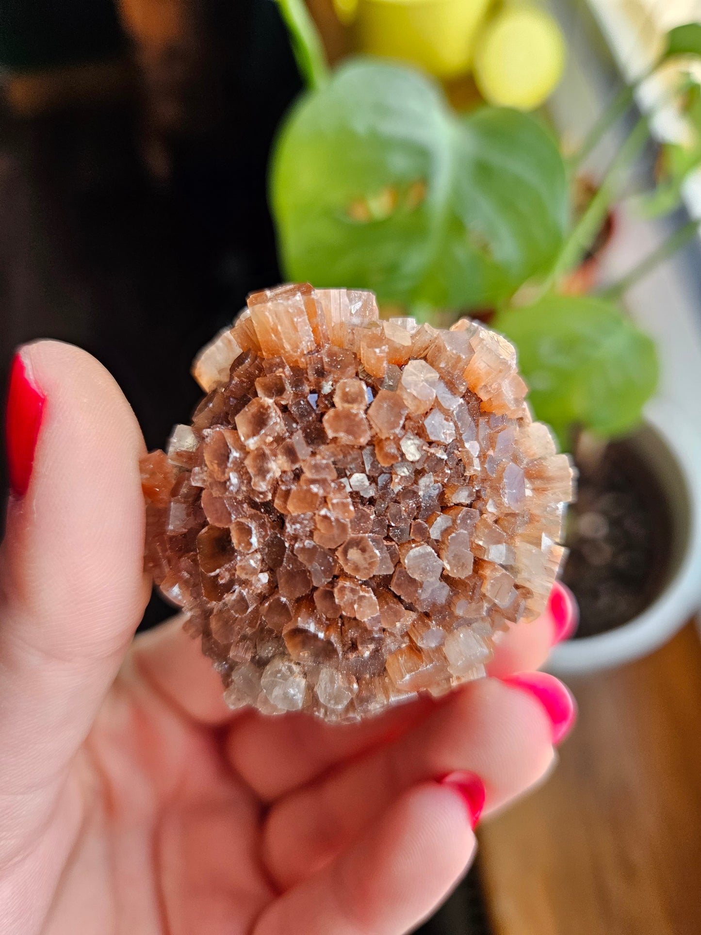 Aragonite sputnik