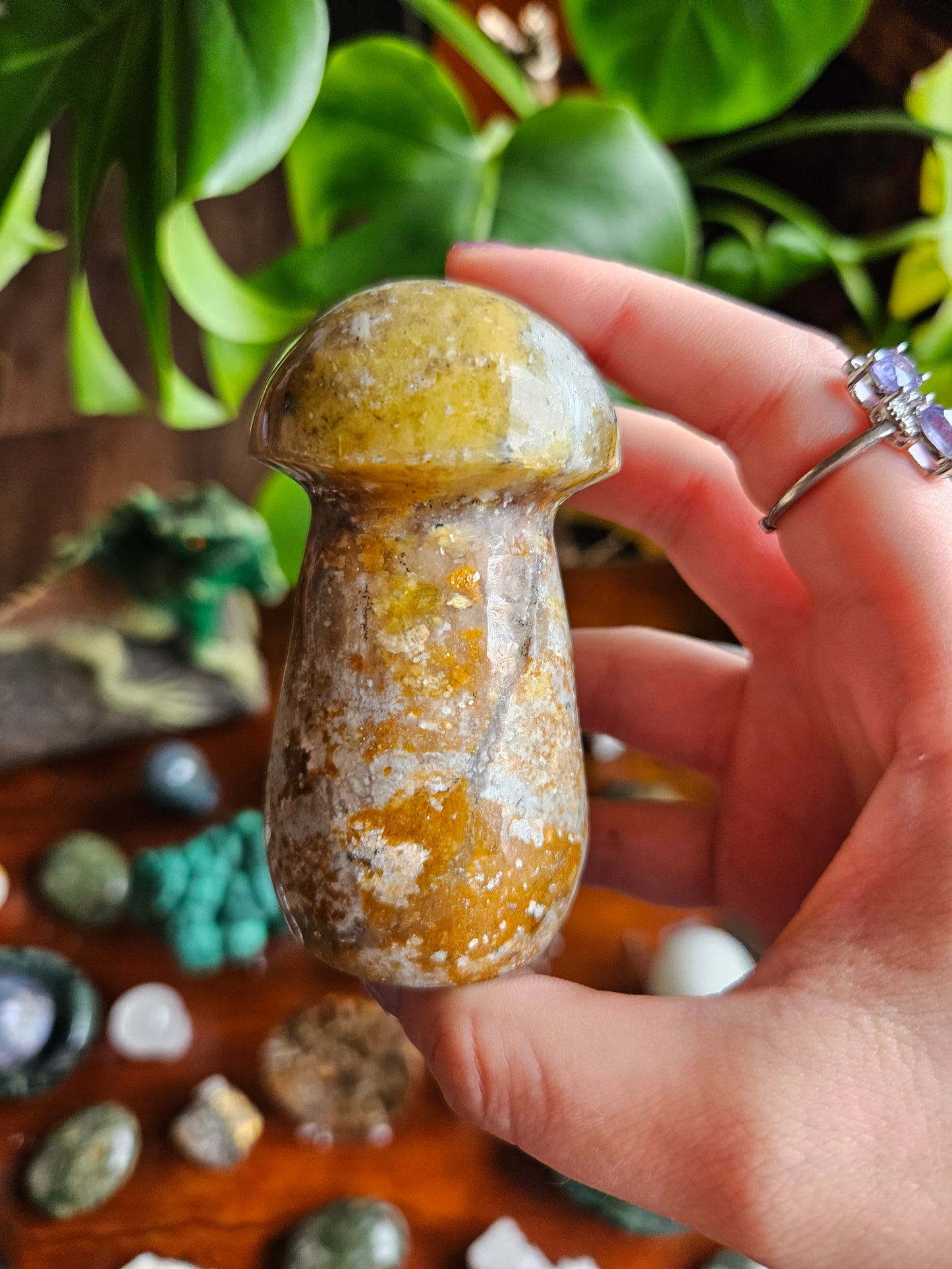 Green Opal mushroom - 244g