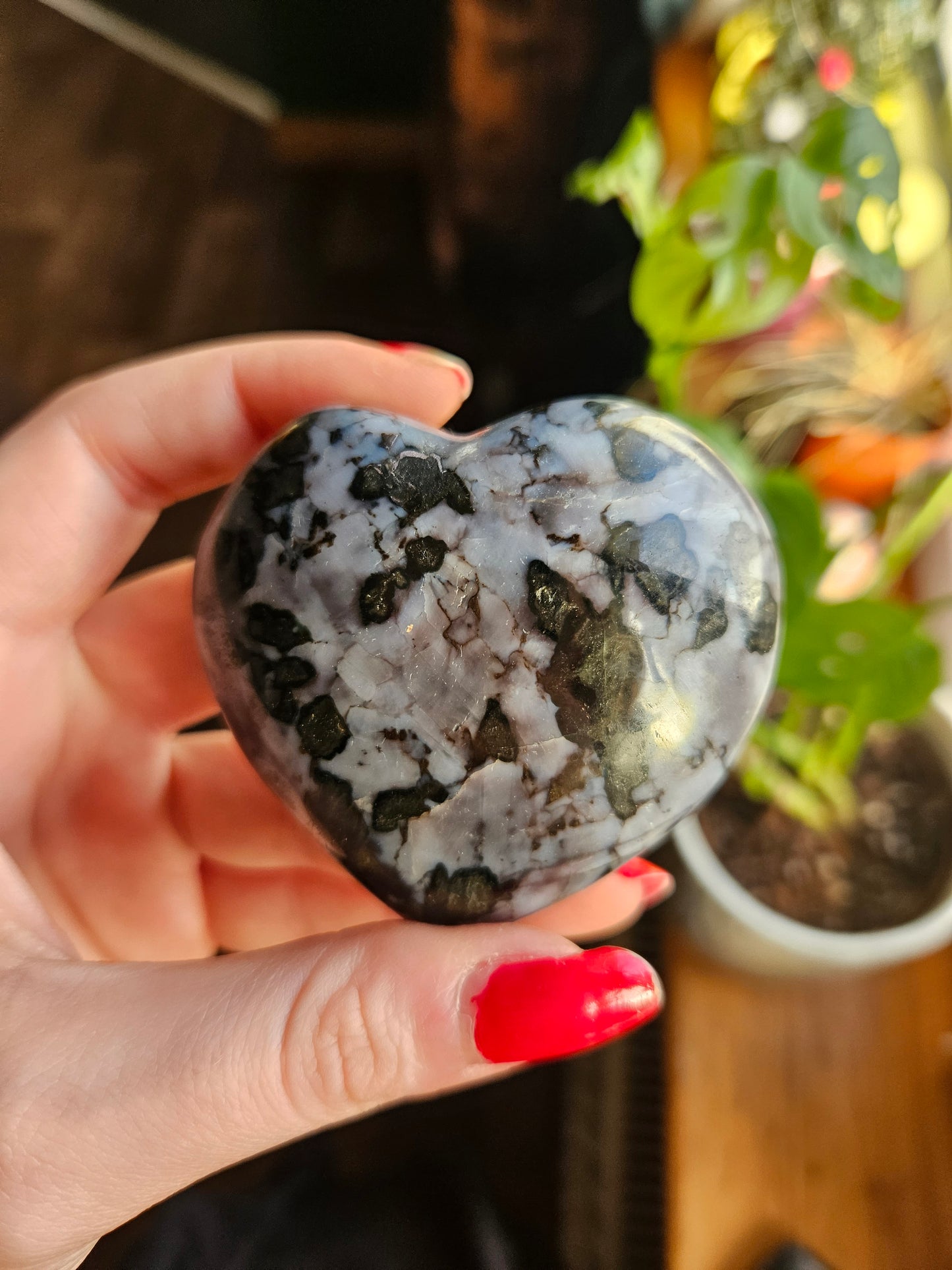 Indigo Gabbro heart