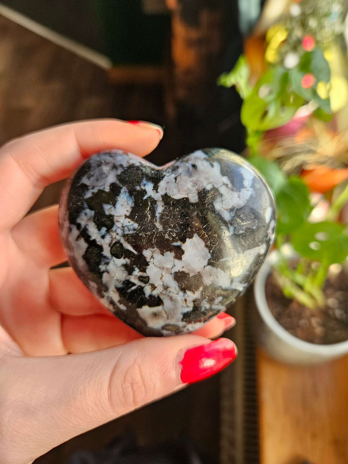 Indigo Gabbro heart