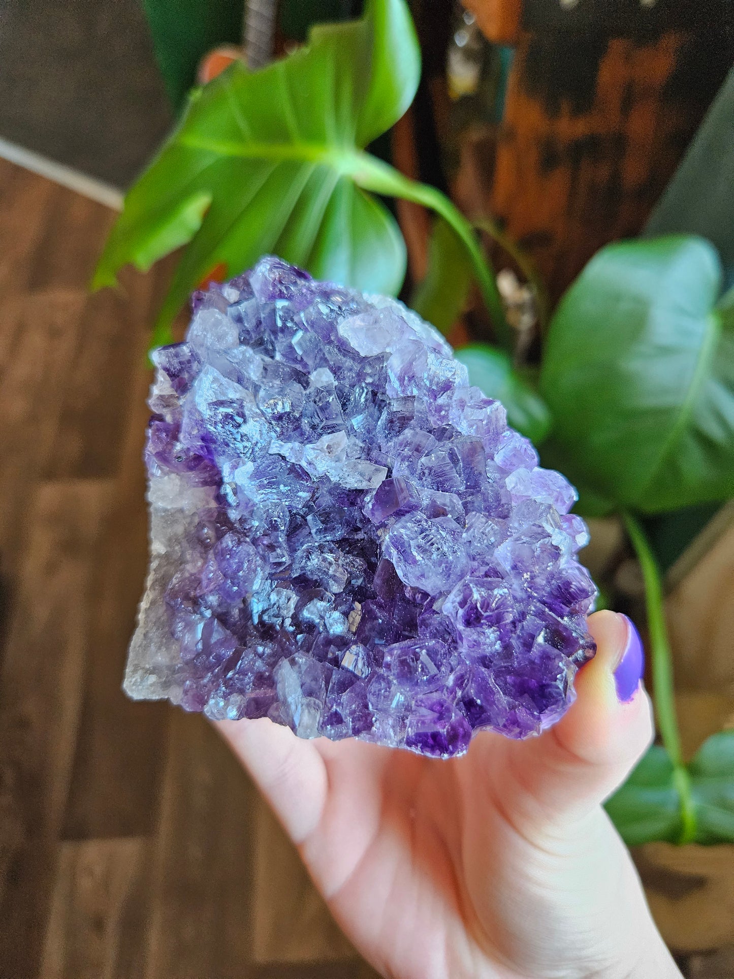 Juicy Amethyst geode