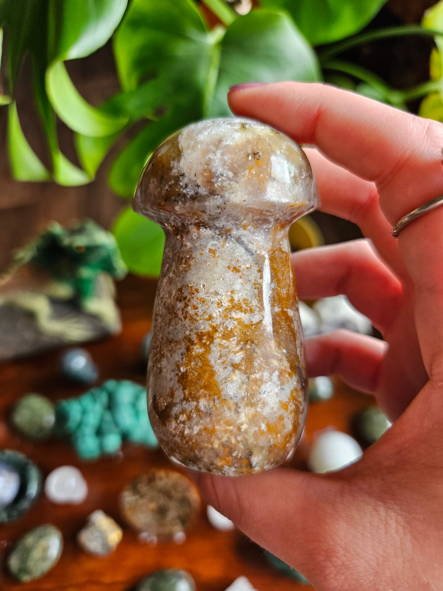 Green Opal mushroom - 244g
