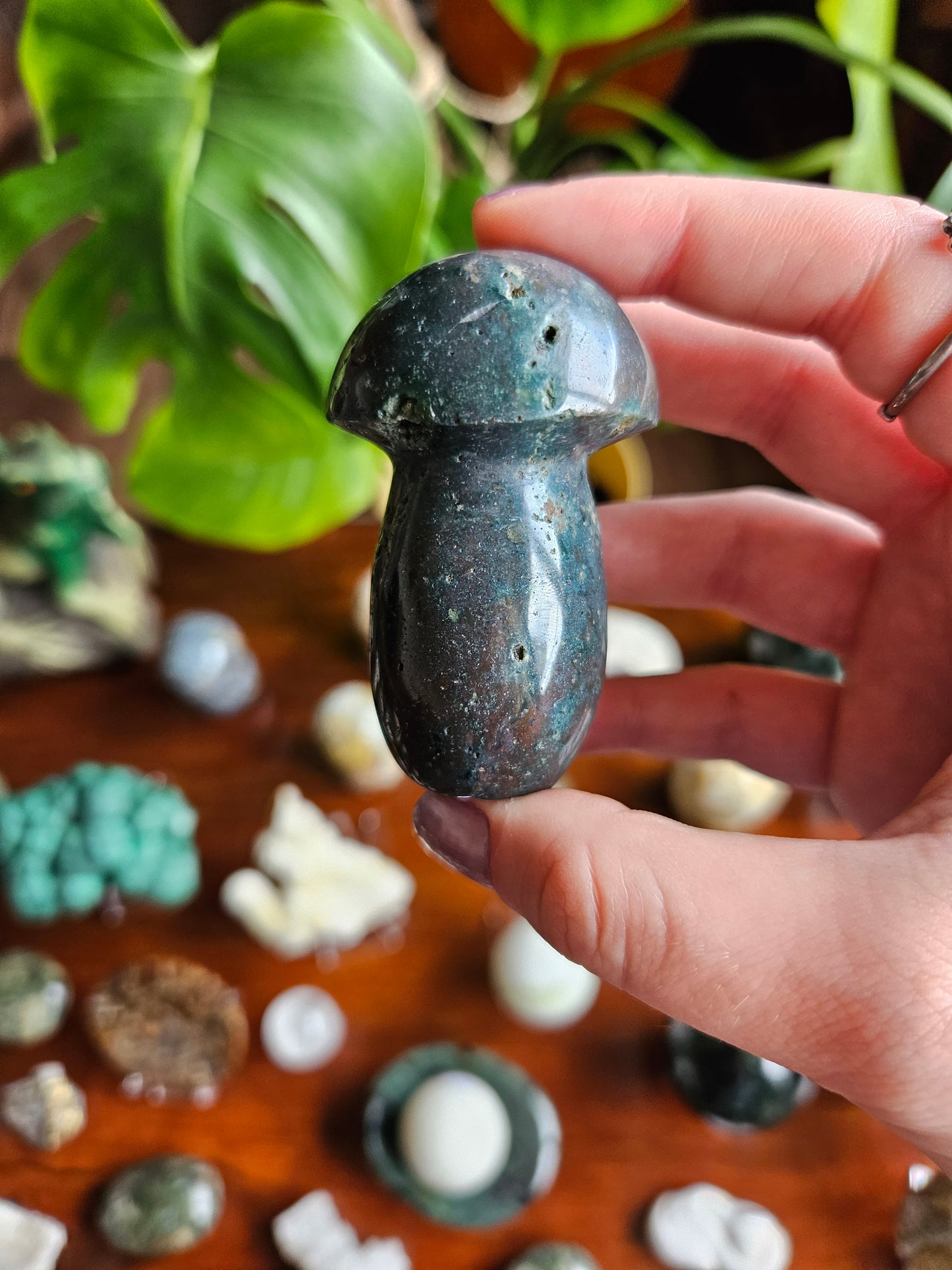 Ocean Jasper mushroom - 110g