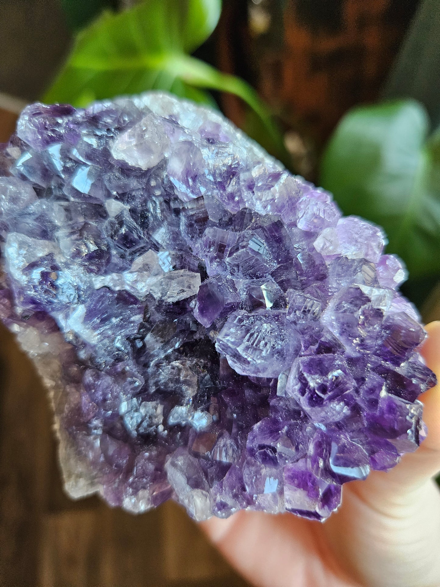 Juicy Amethyst geode