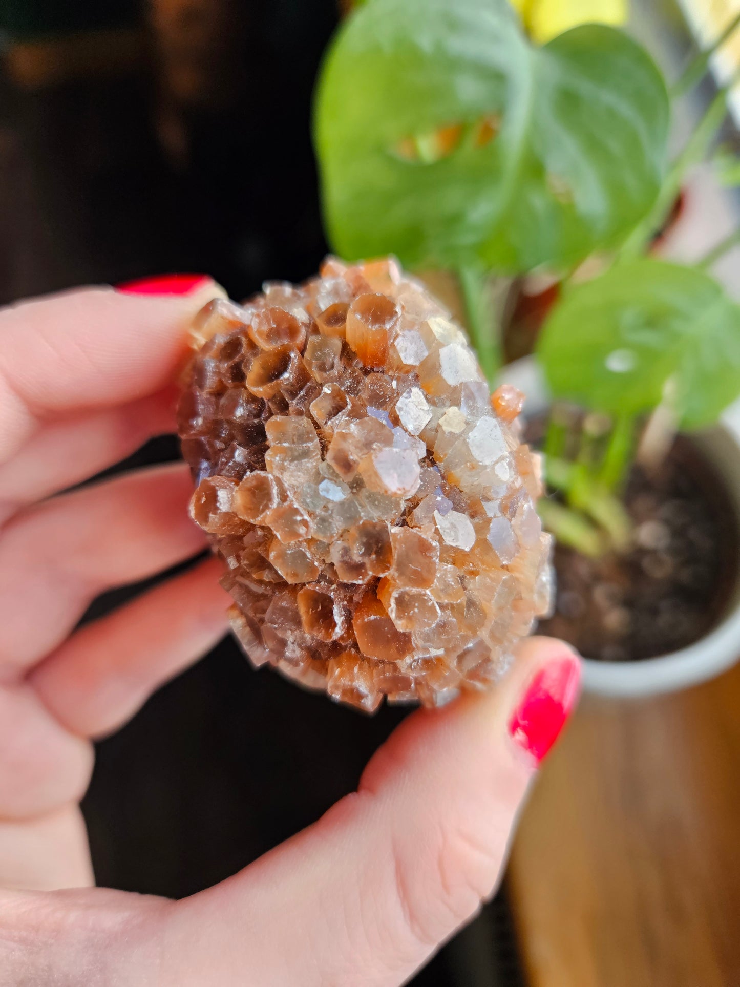 Aragonite sputnik