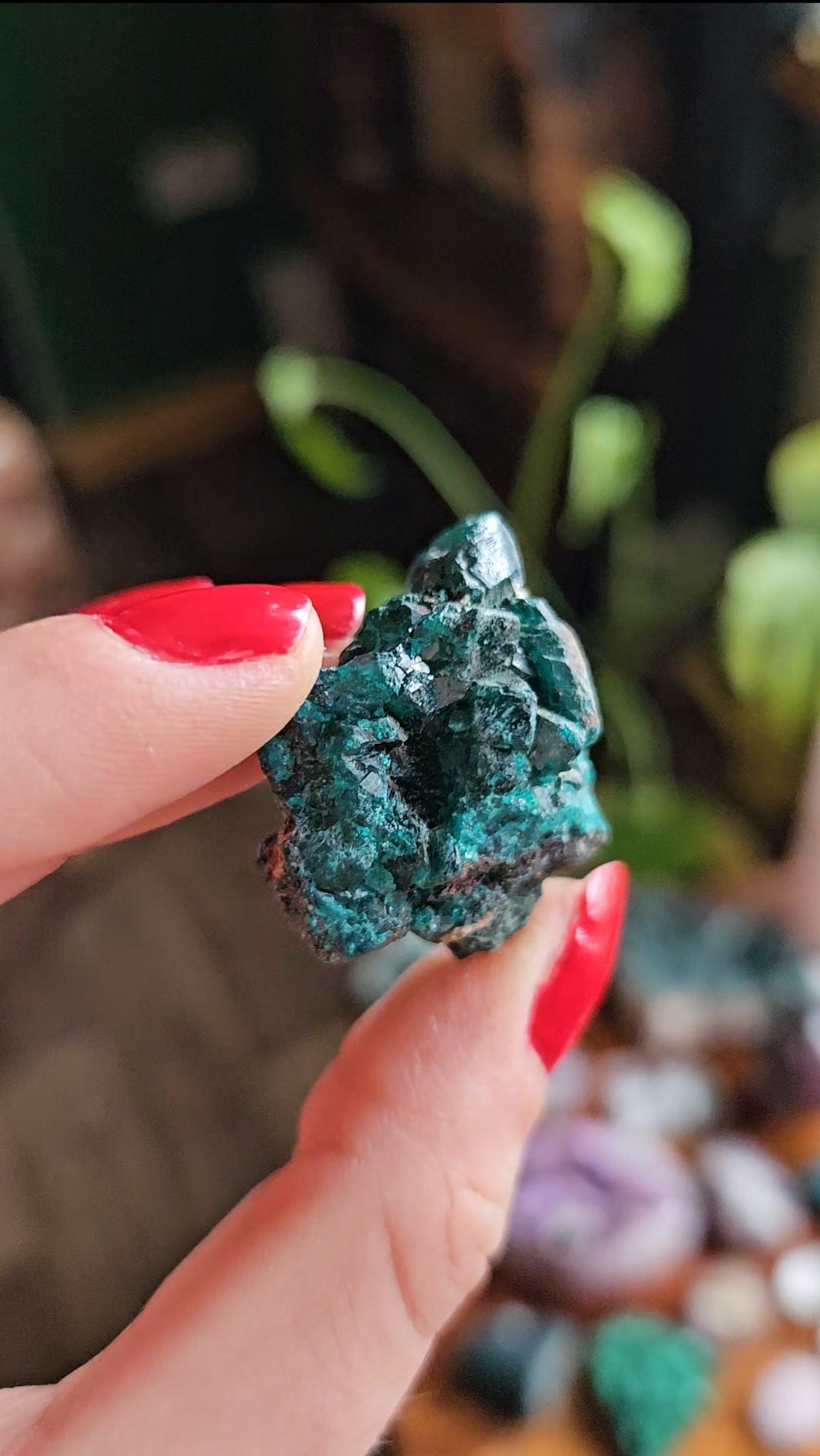 Dioptase specimen