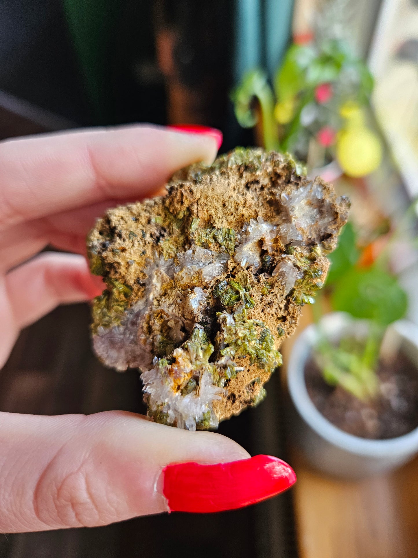 Forest Quartz Epidote specimen