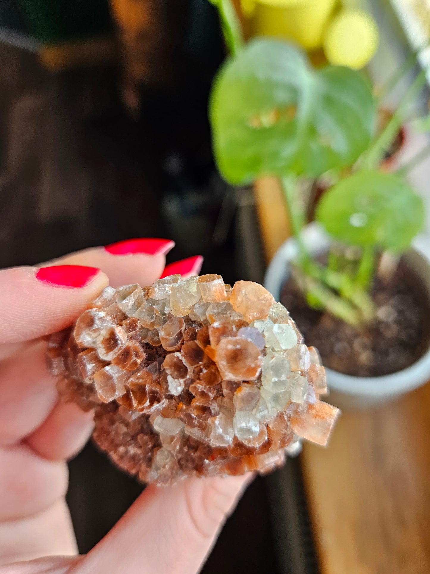Aragonite sputnik