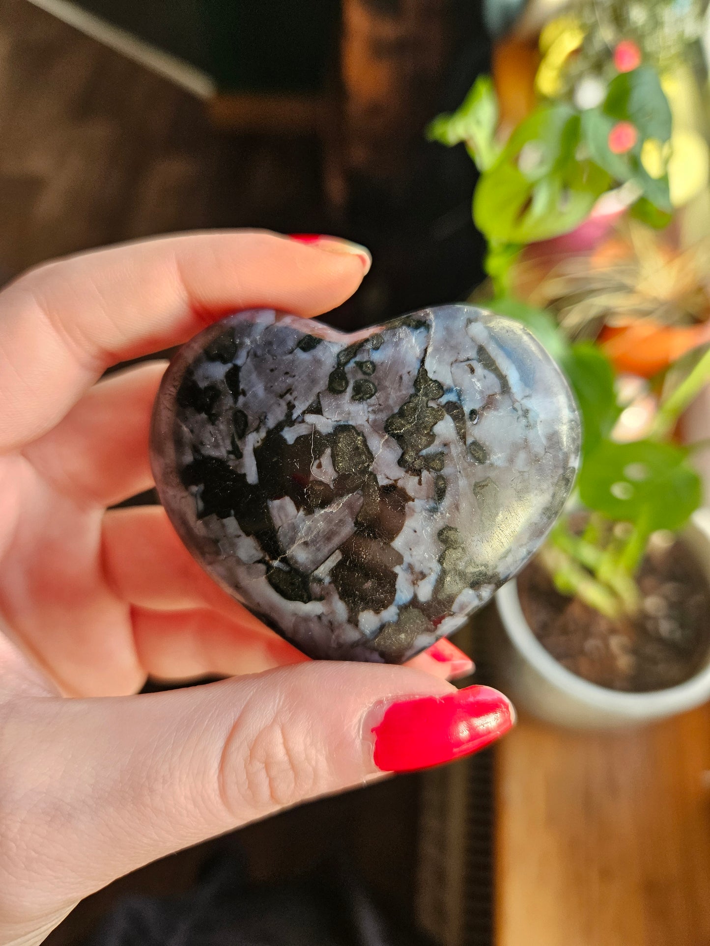 Indigo Gabbro heart