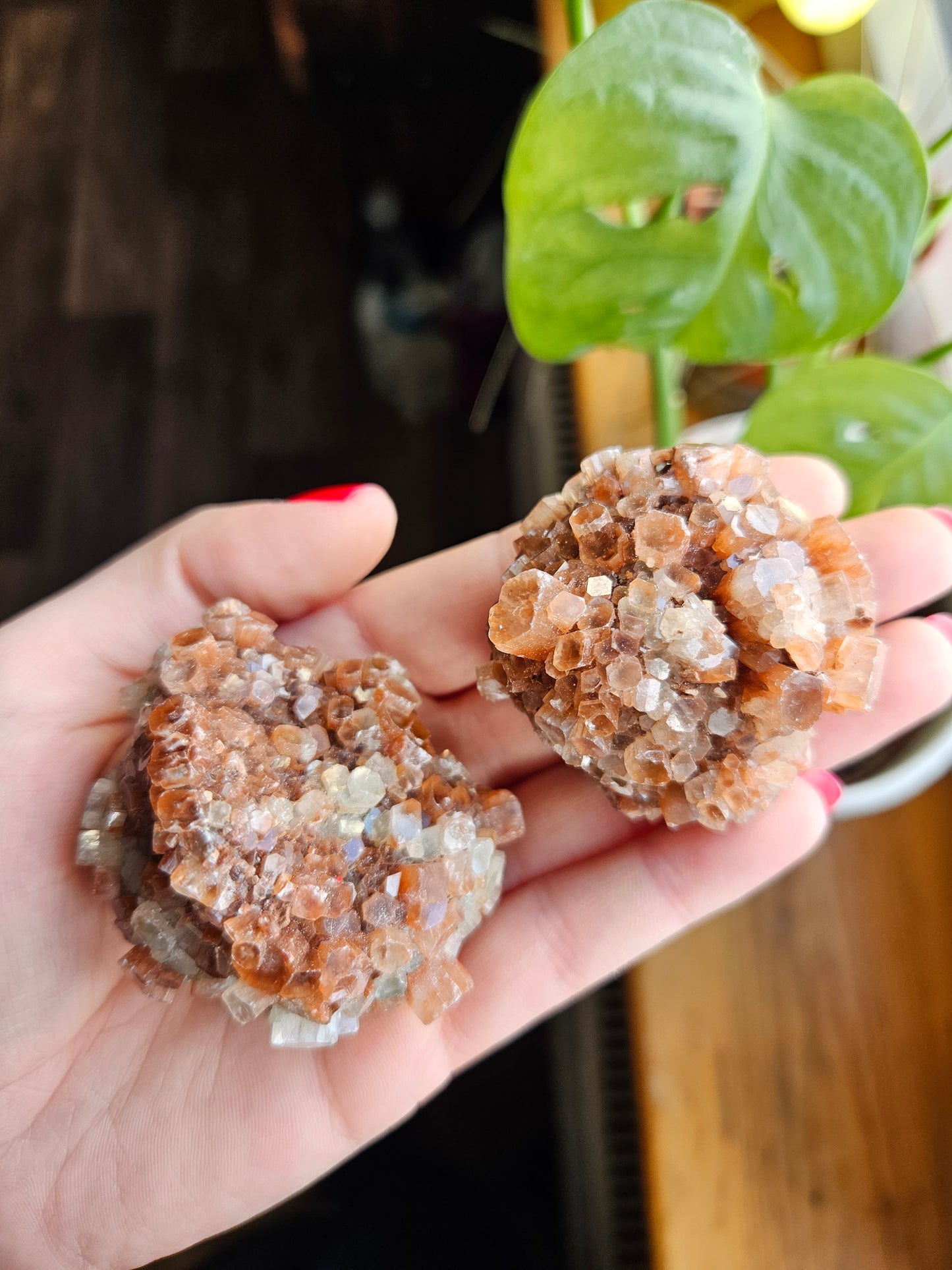 Aragonite sputnik
