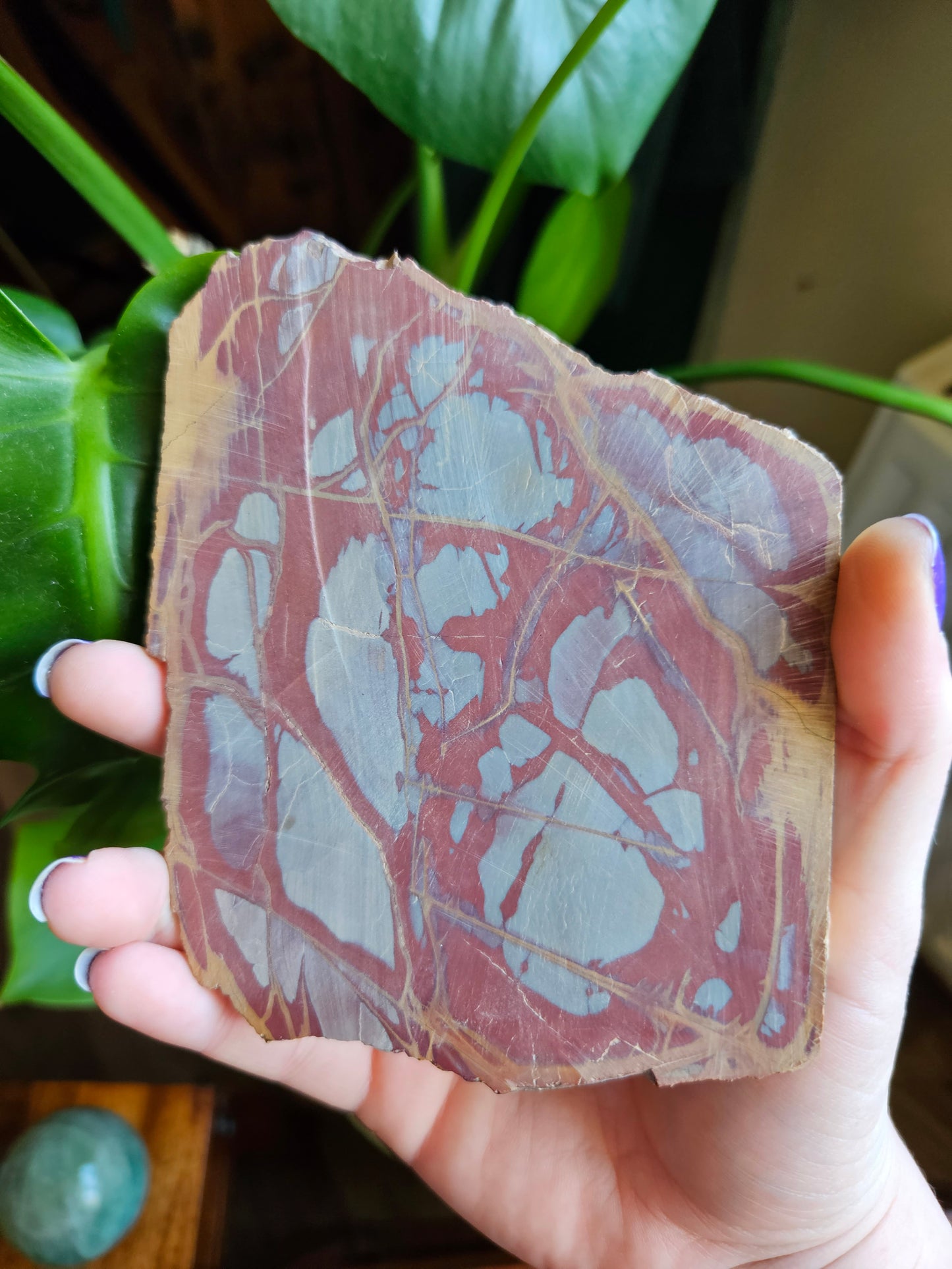 Noreena Jasper slice
