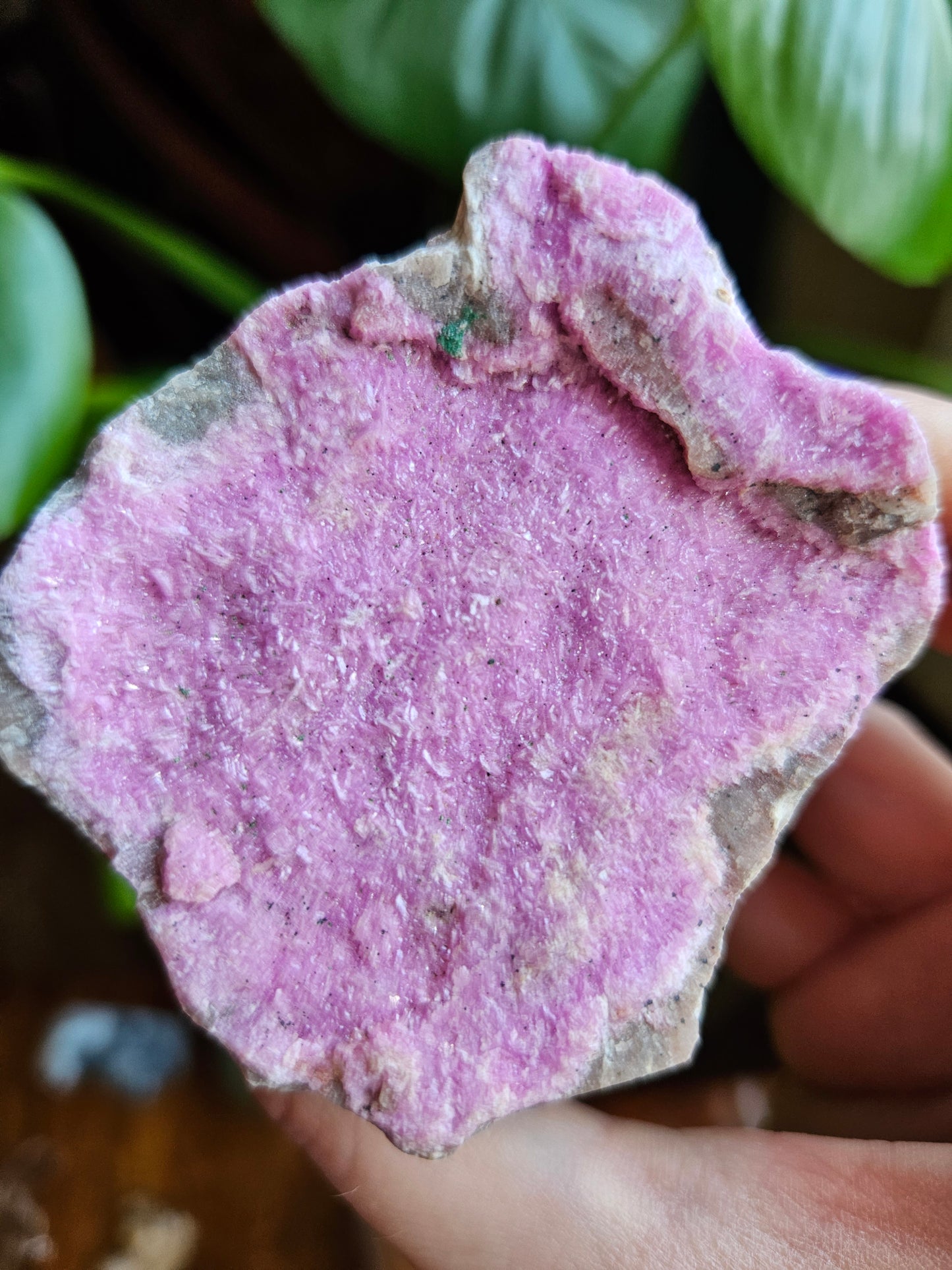 Large Cobalto Calcite