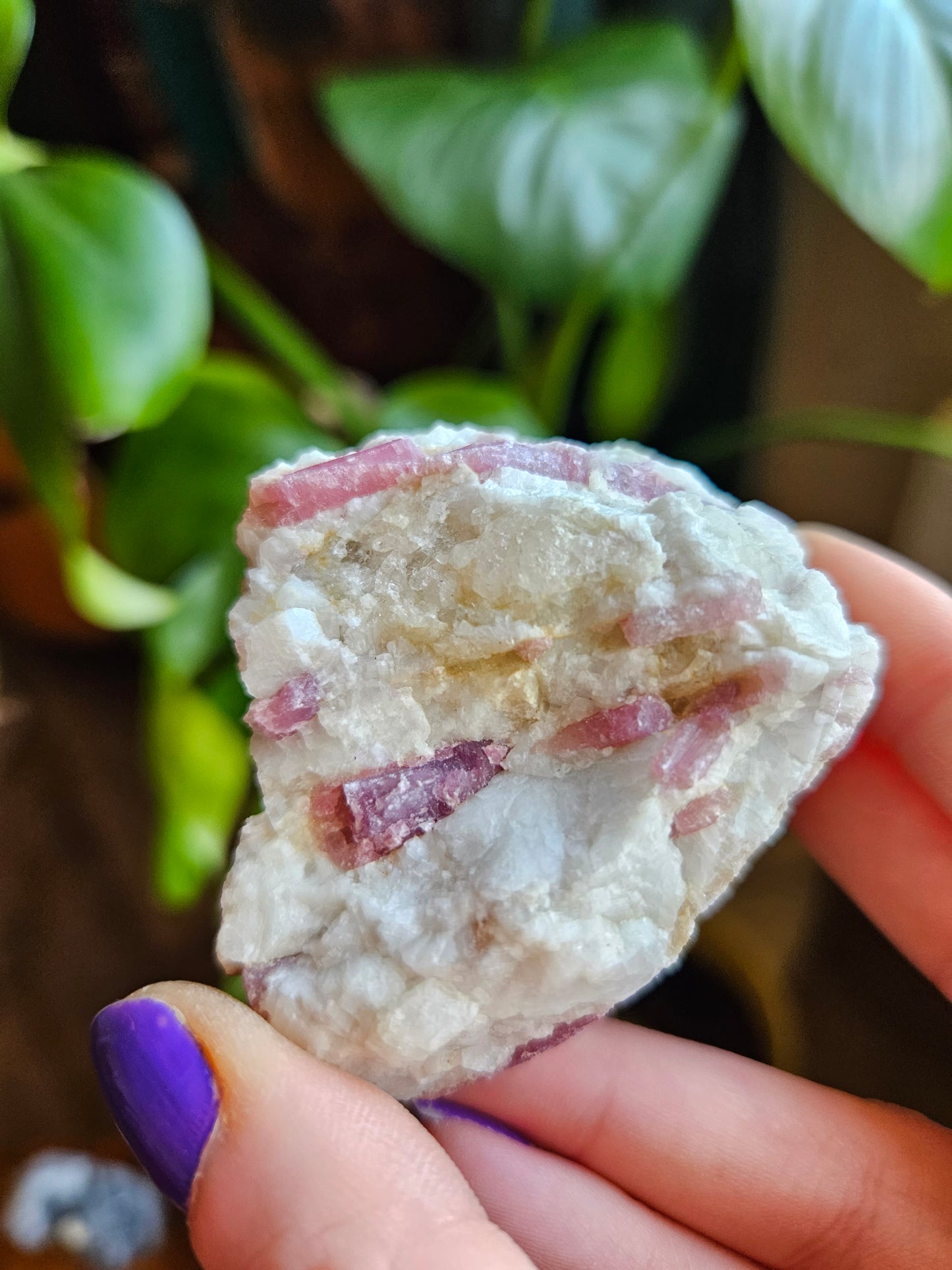 Raw Pink Tourmaline in Clevelandite