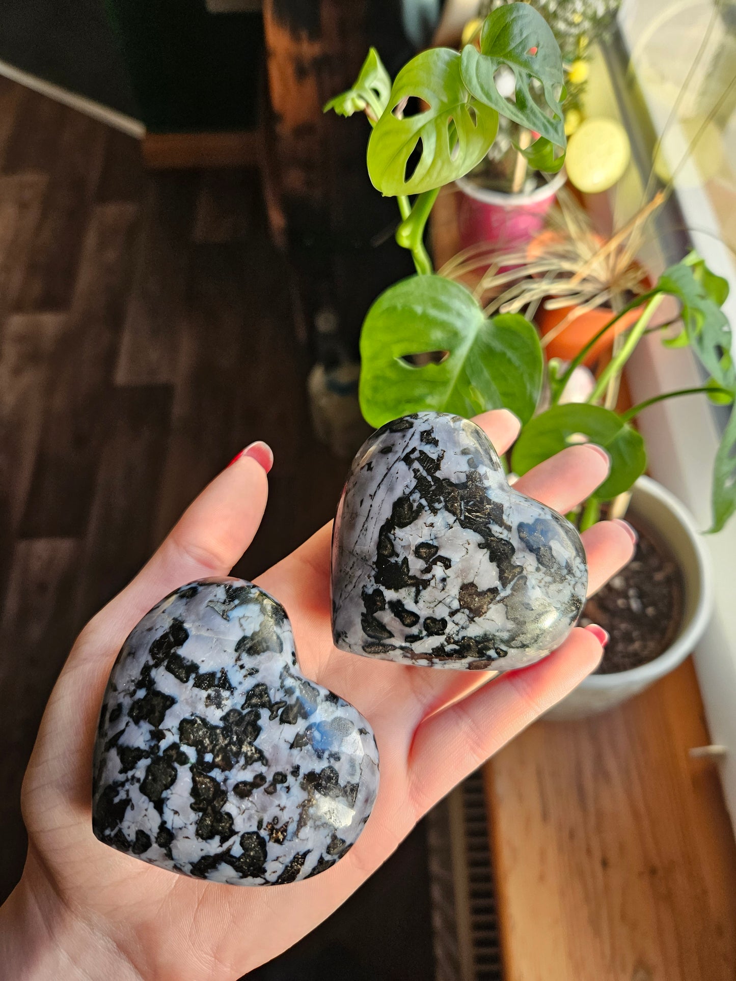 Indigo Gabbro heart