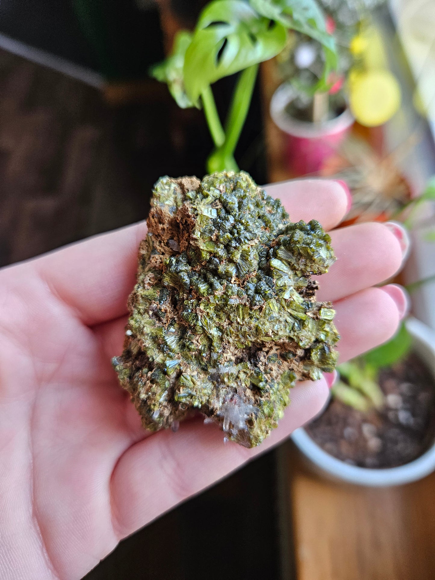 Forest Quartz Epidote specimen