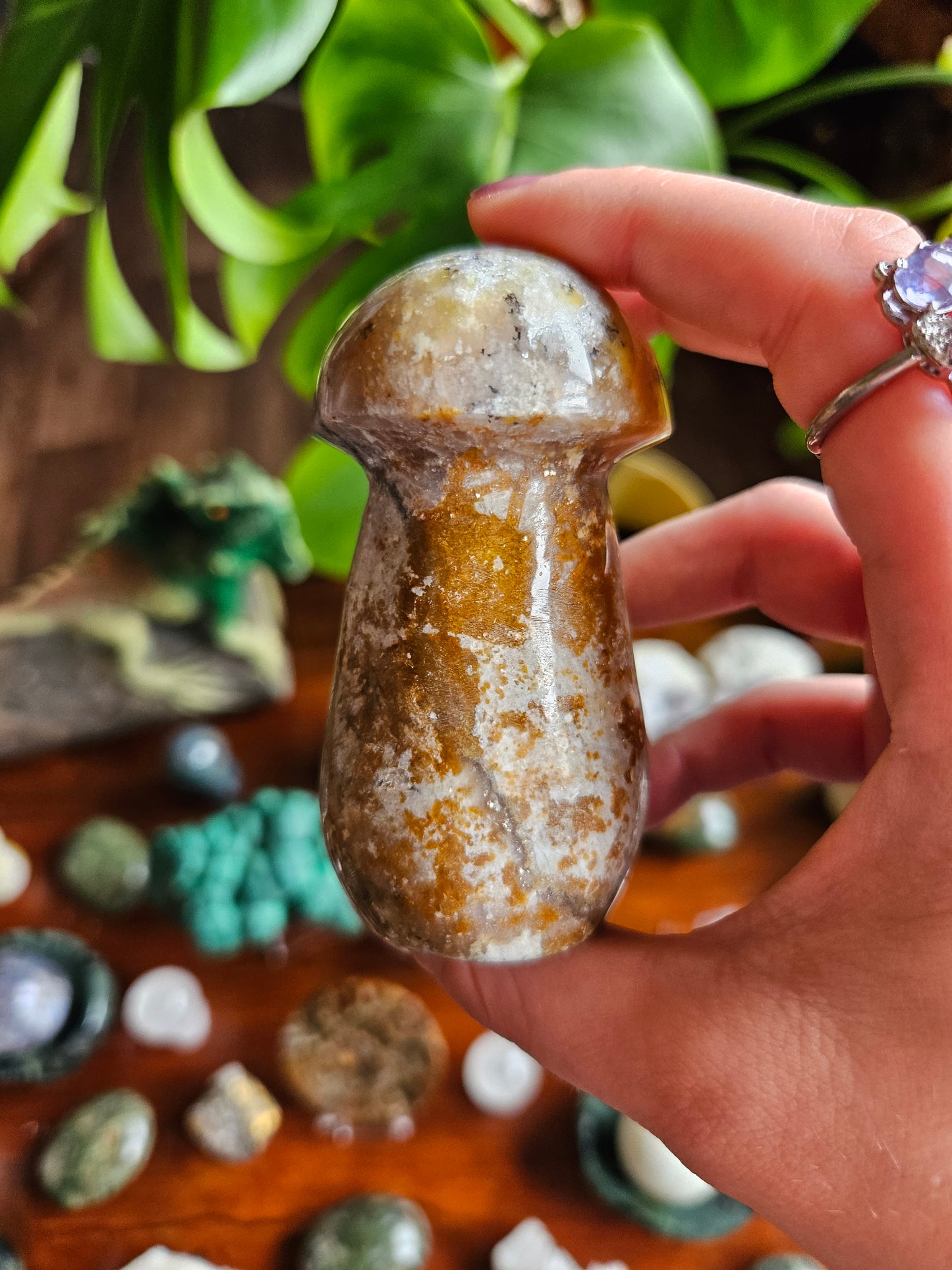Green Opal mushroom - 244g
