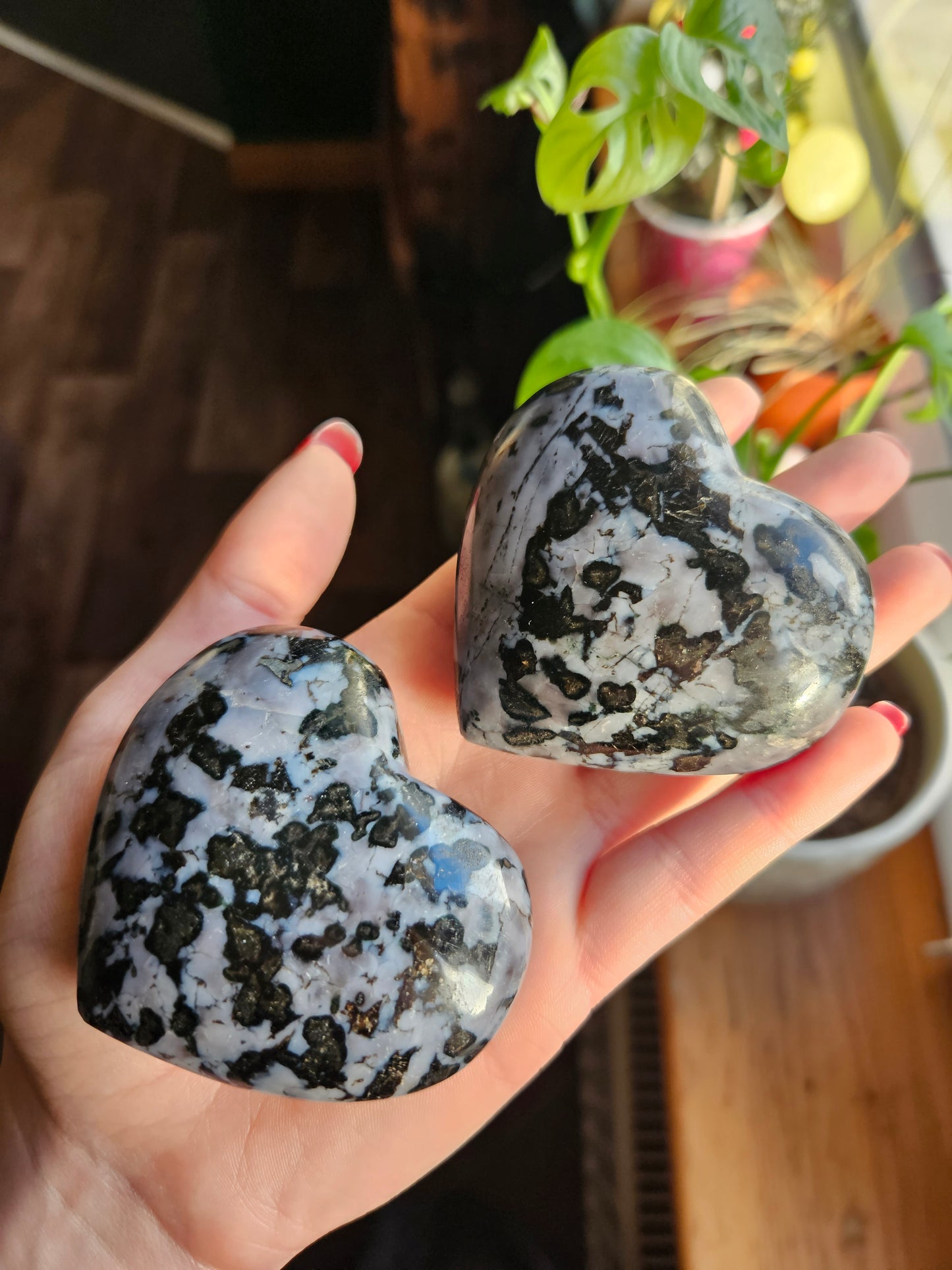 Indigo Gabbro heart