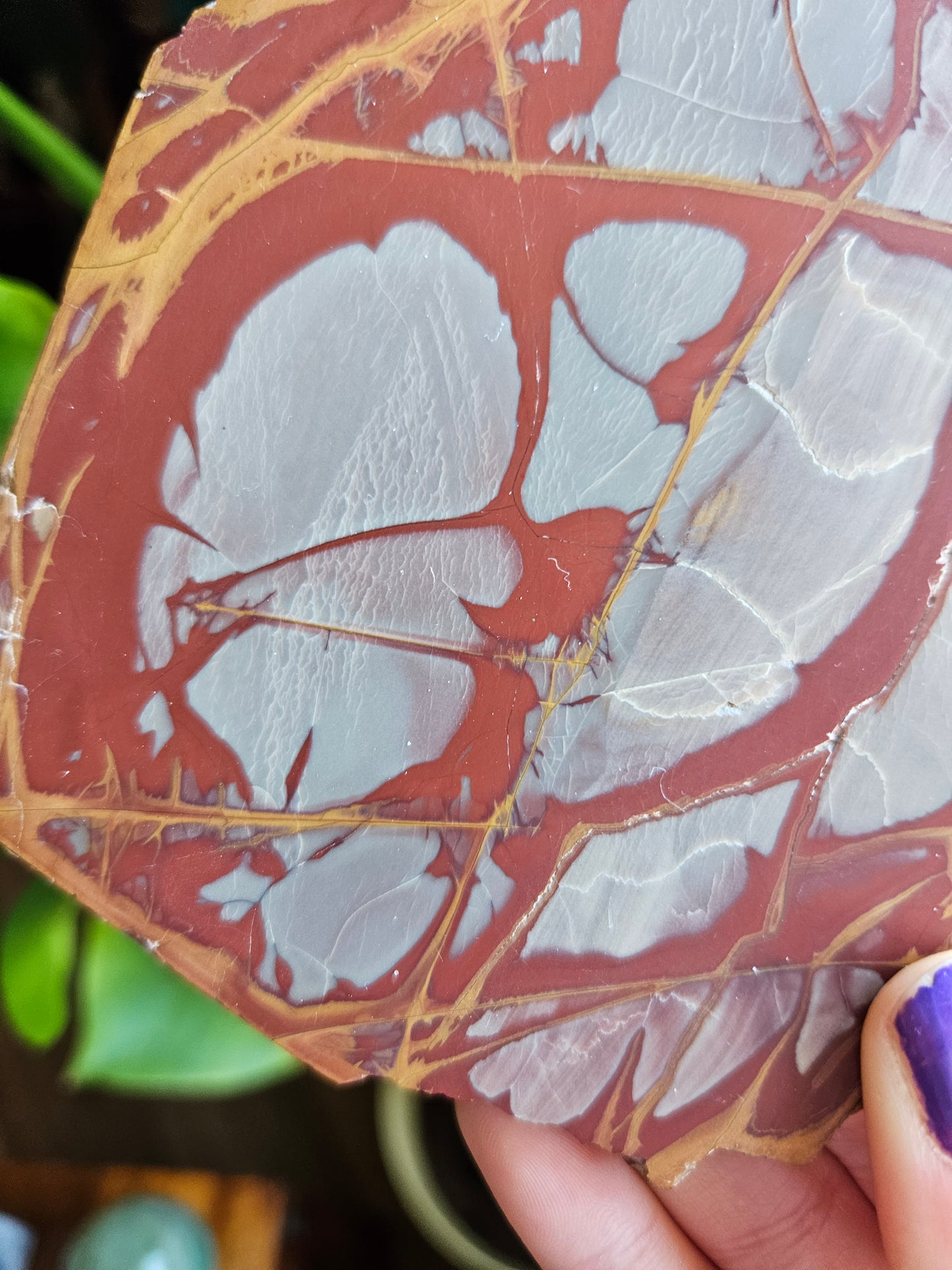 Noreena Jasper slice