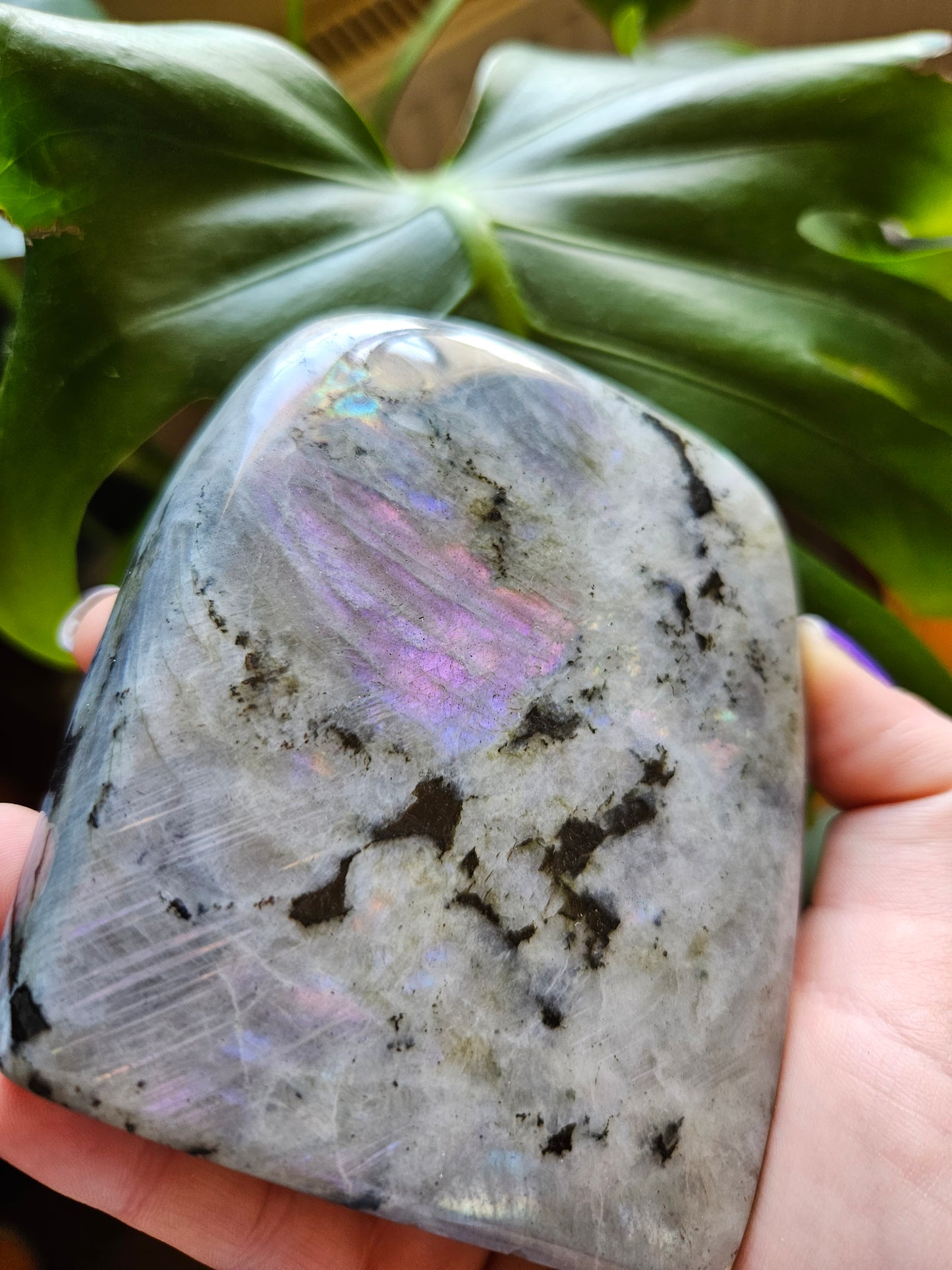 Large Purple Labradorite freeform