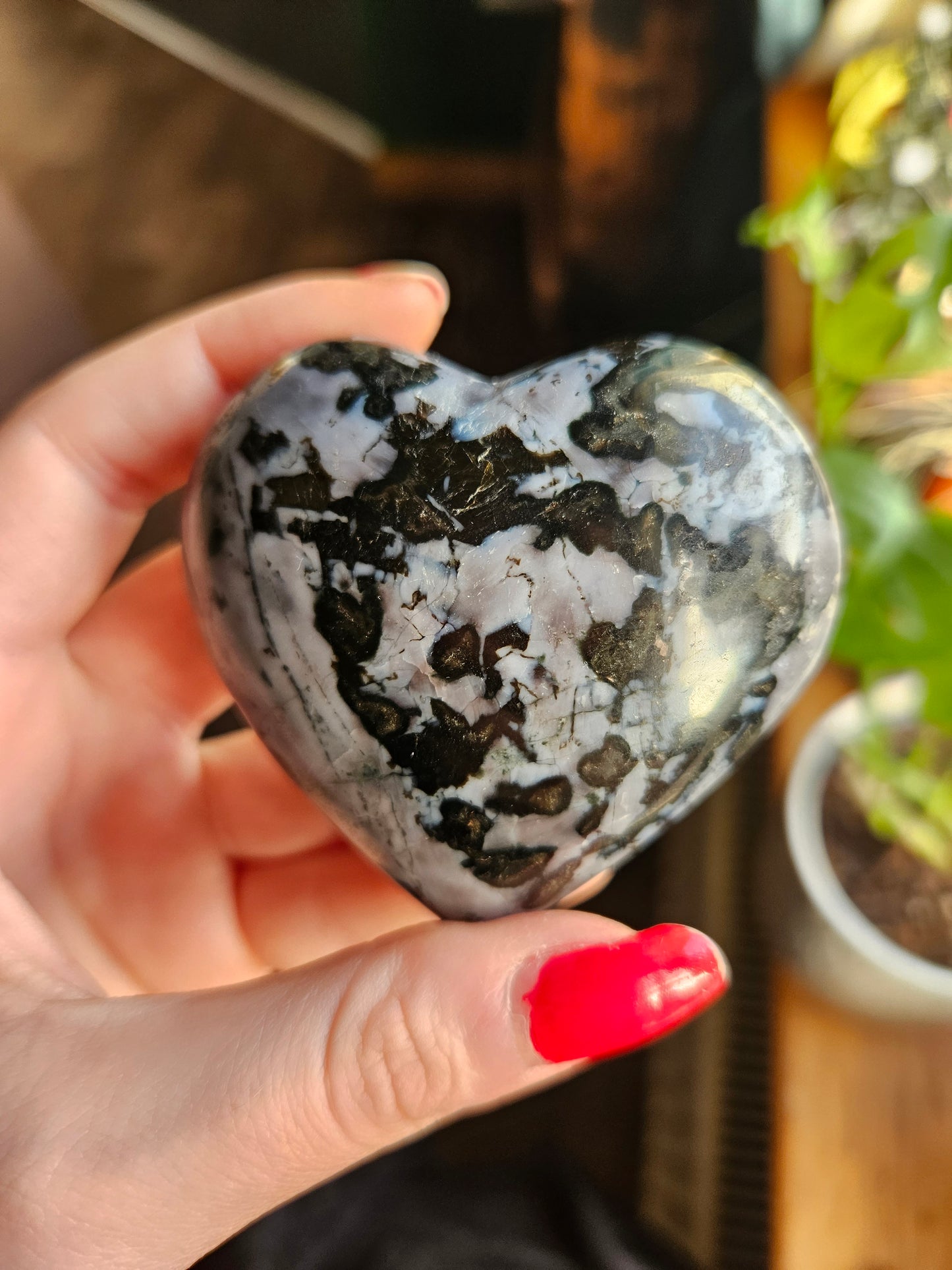 Indigo Gabbro heart