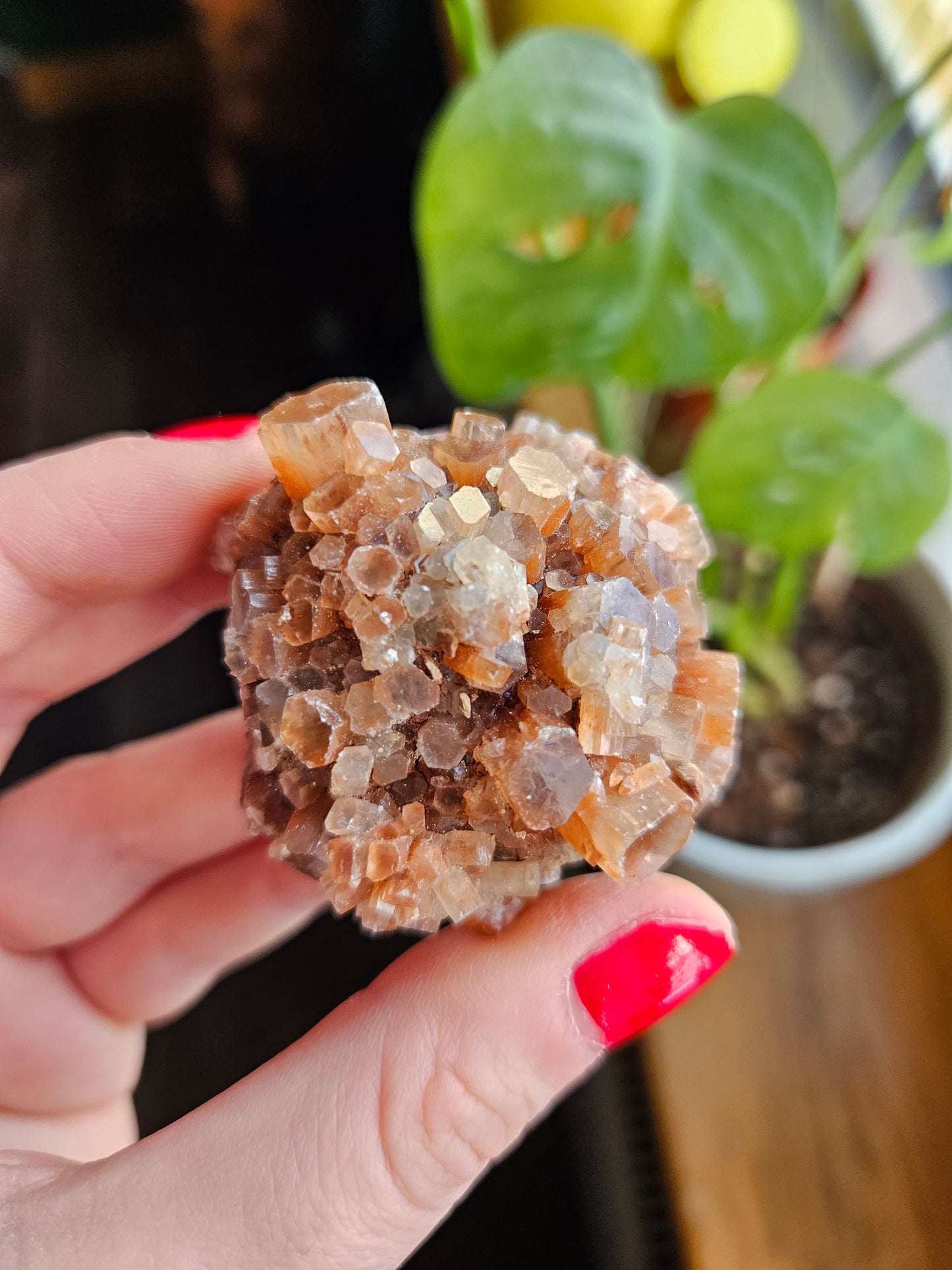 Aragonite sputnik
