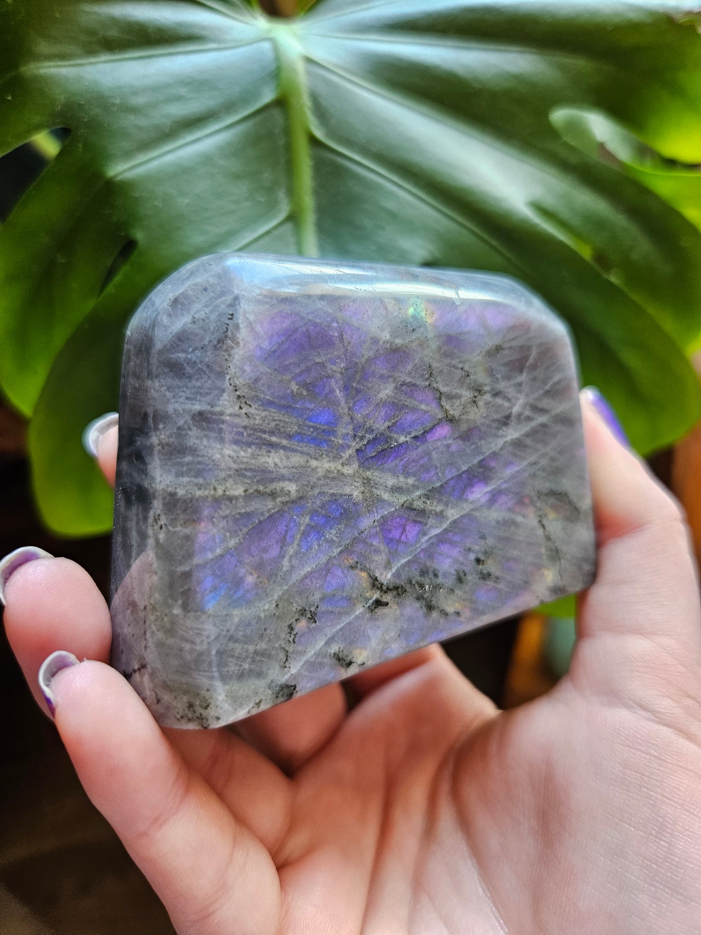 Small Purple Labradorite freeform
