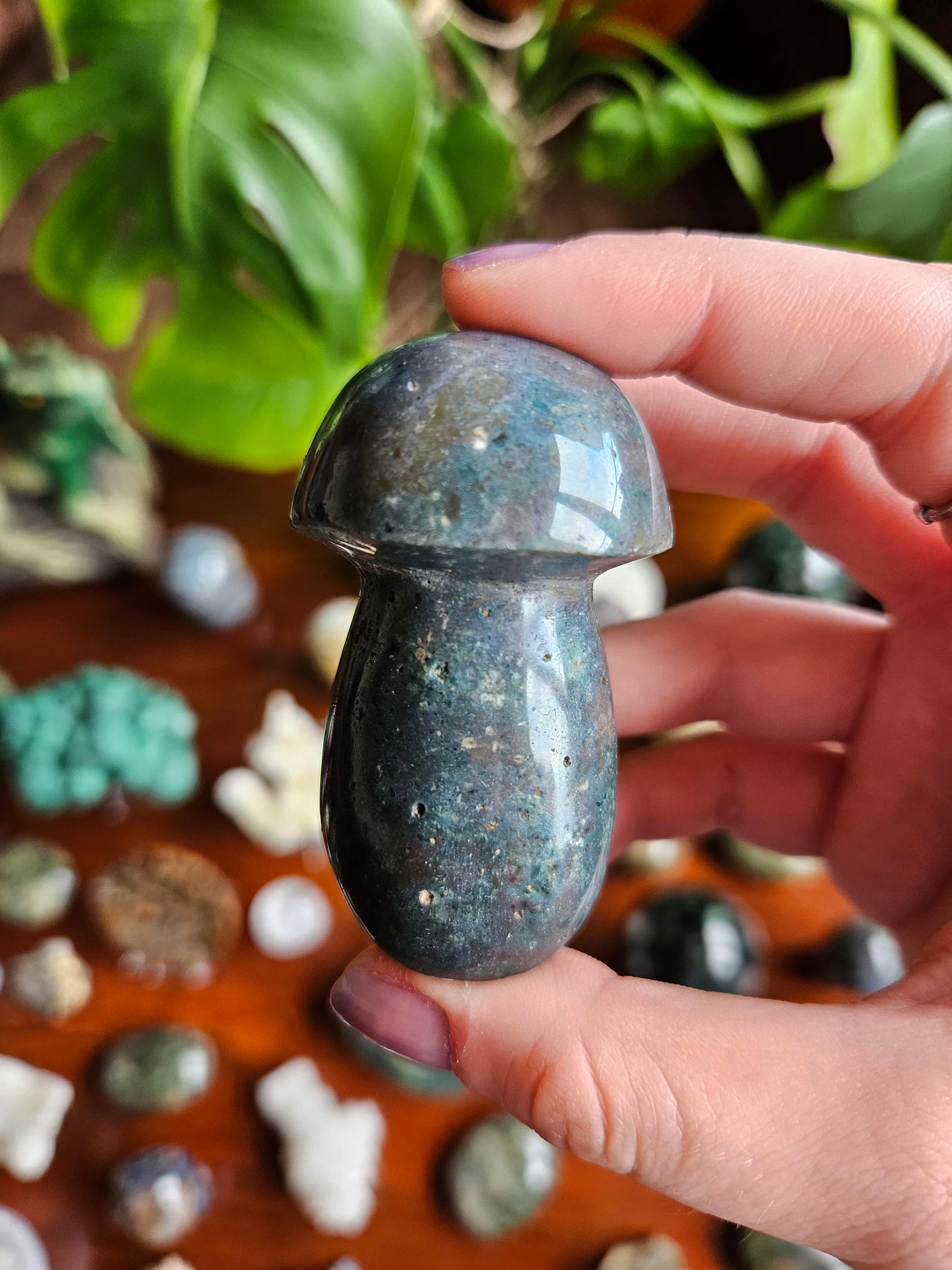 Ocean Jasper mushroom - 110g