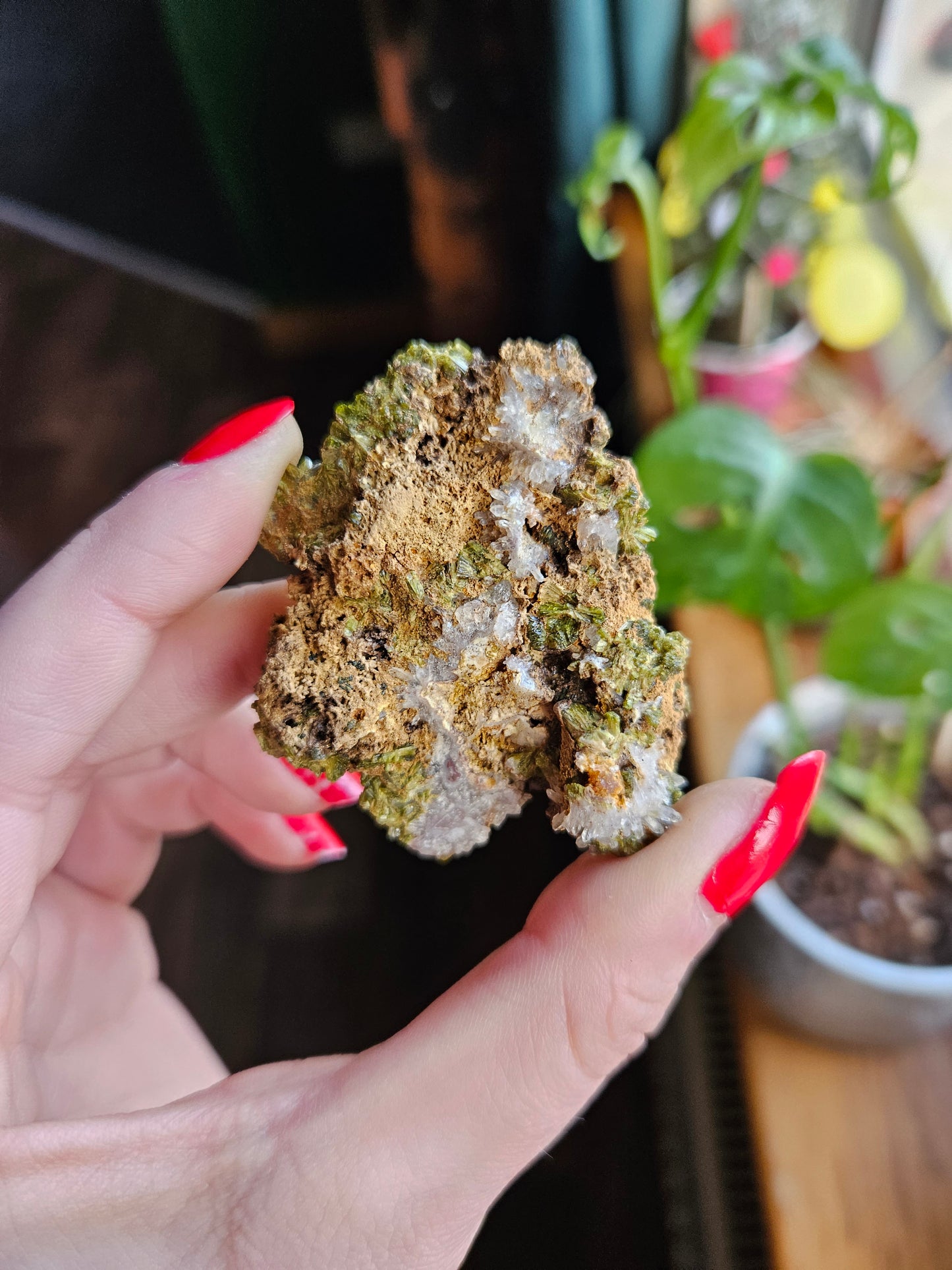 Forest Quartz Epidote specimen