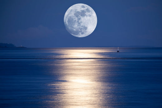 Full Moon illuminating the ocean below it.