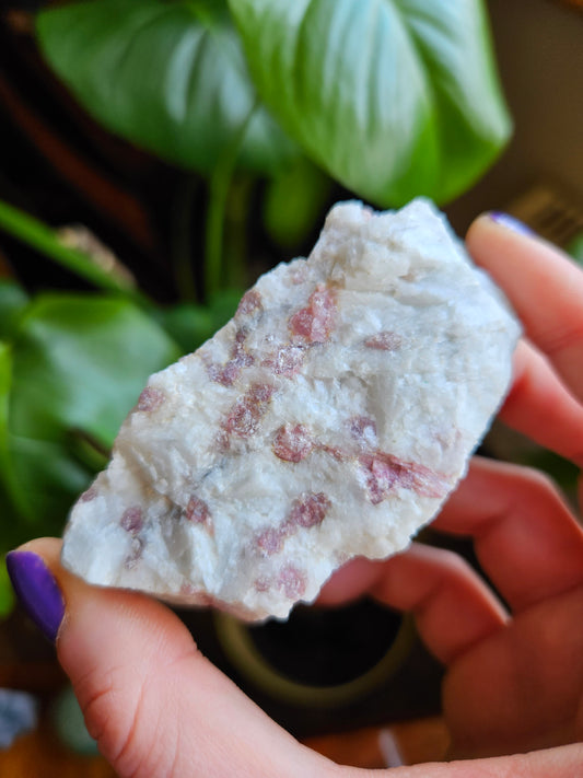 Raw Pink Tourmaline in Clevelandite