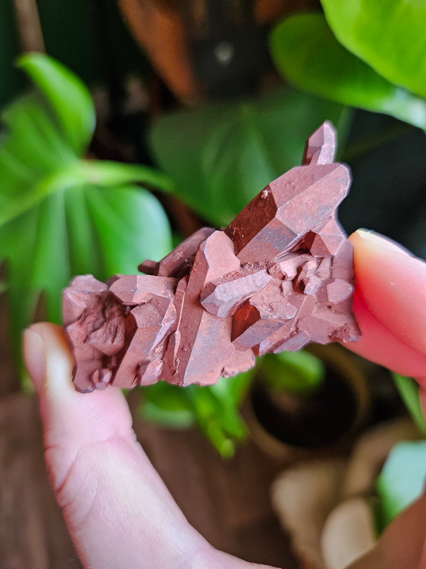 Red Hematite on Quartz