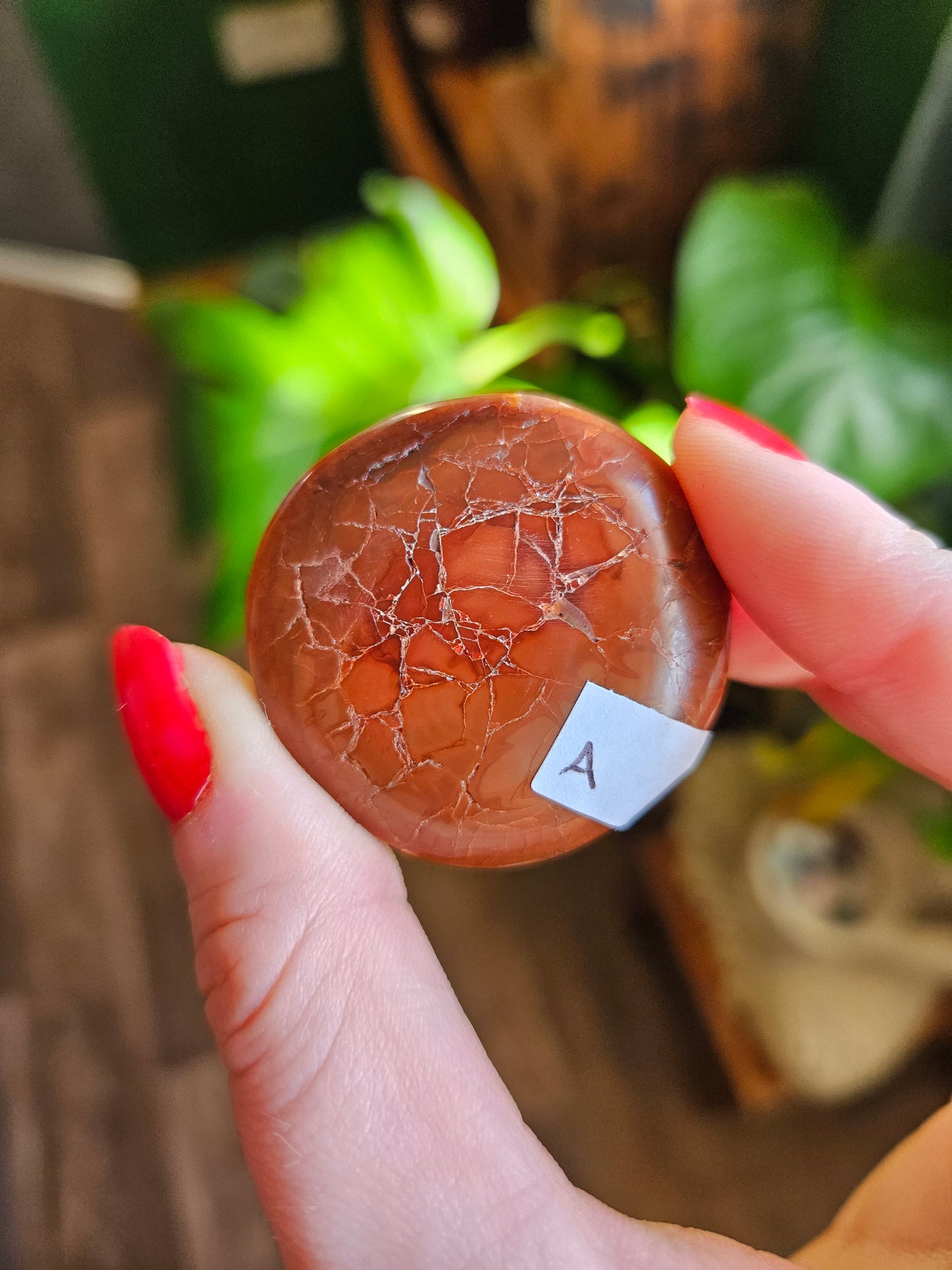 Mini Carnelian palmstone