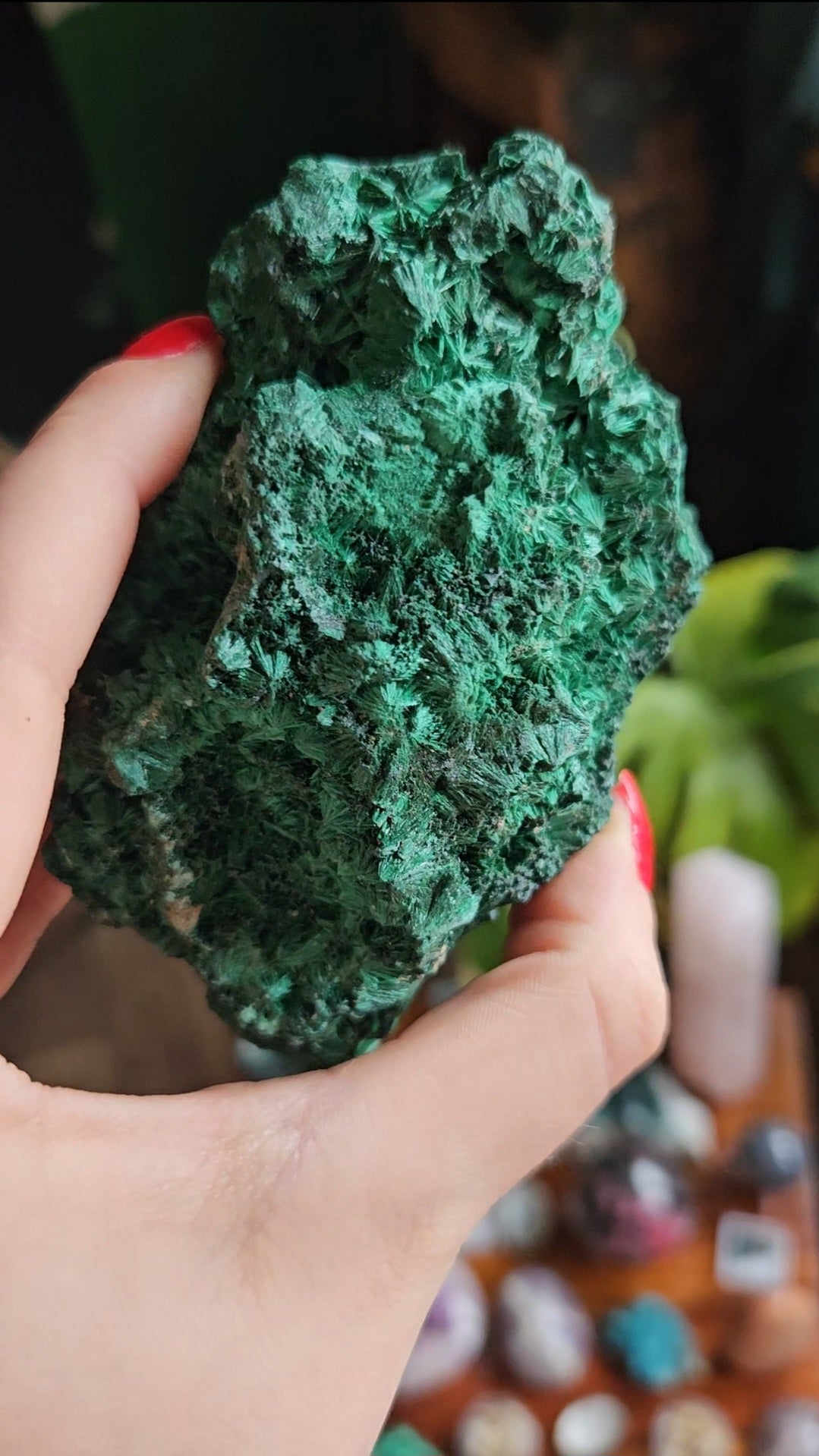 XL Velvet Malachite specimen - 455g
