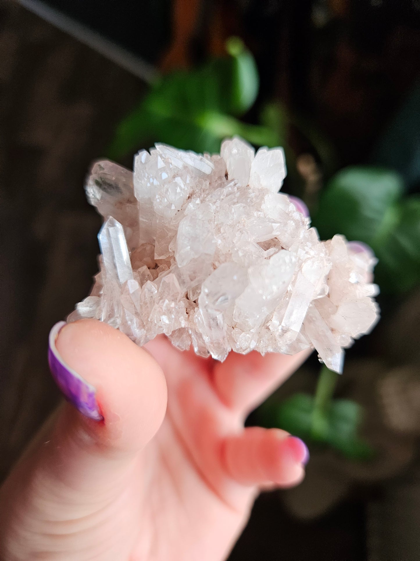 Pink Colombian Lemurian Quartz