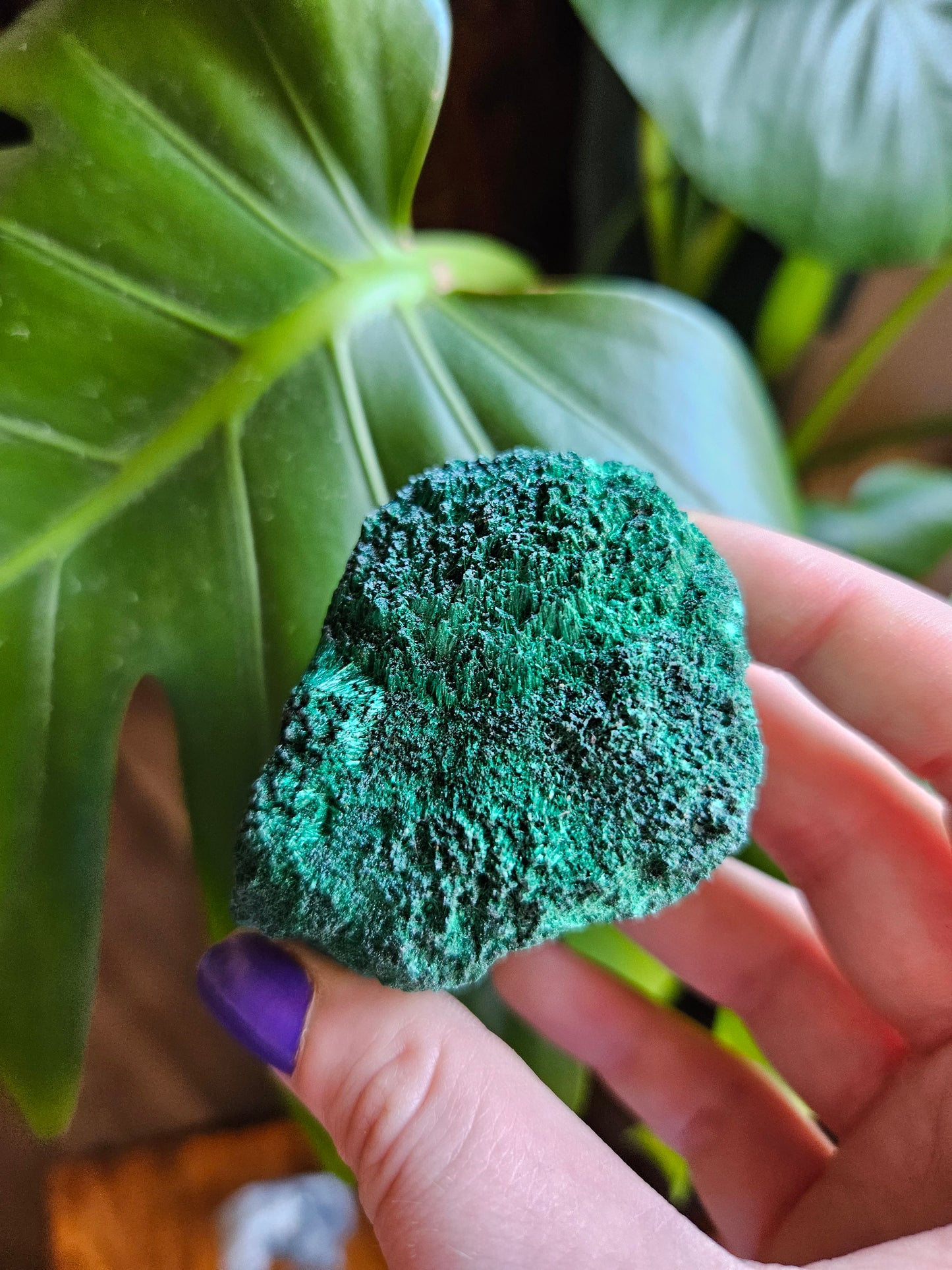 Velvet Malachite specimen - 180g