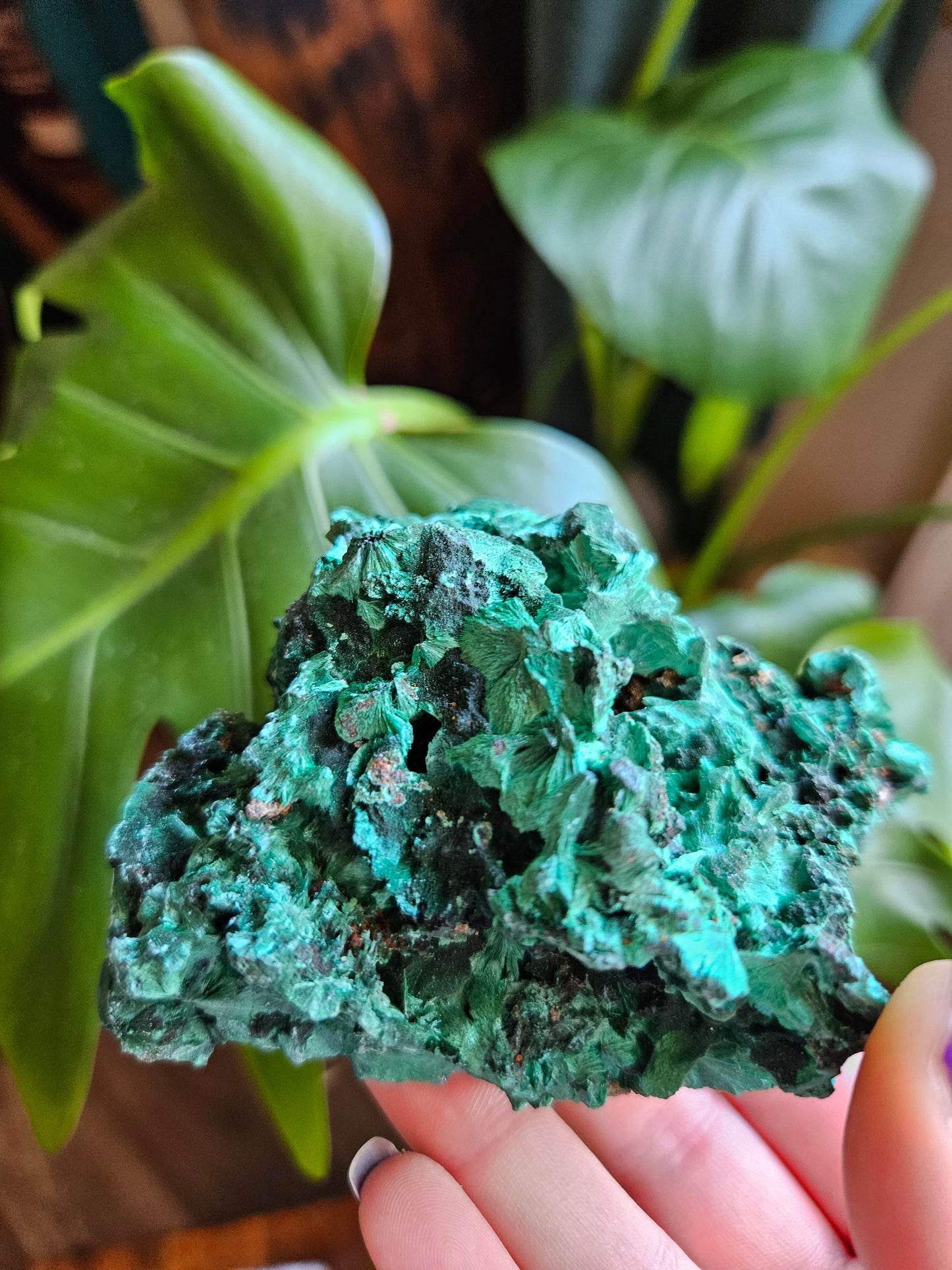 Velvet Malachite specimen - 261g